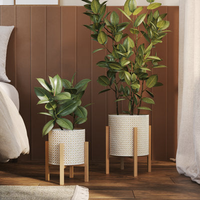 Plants & Pots