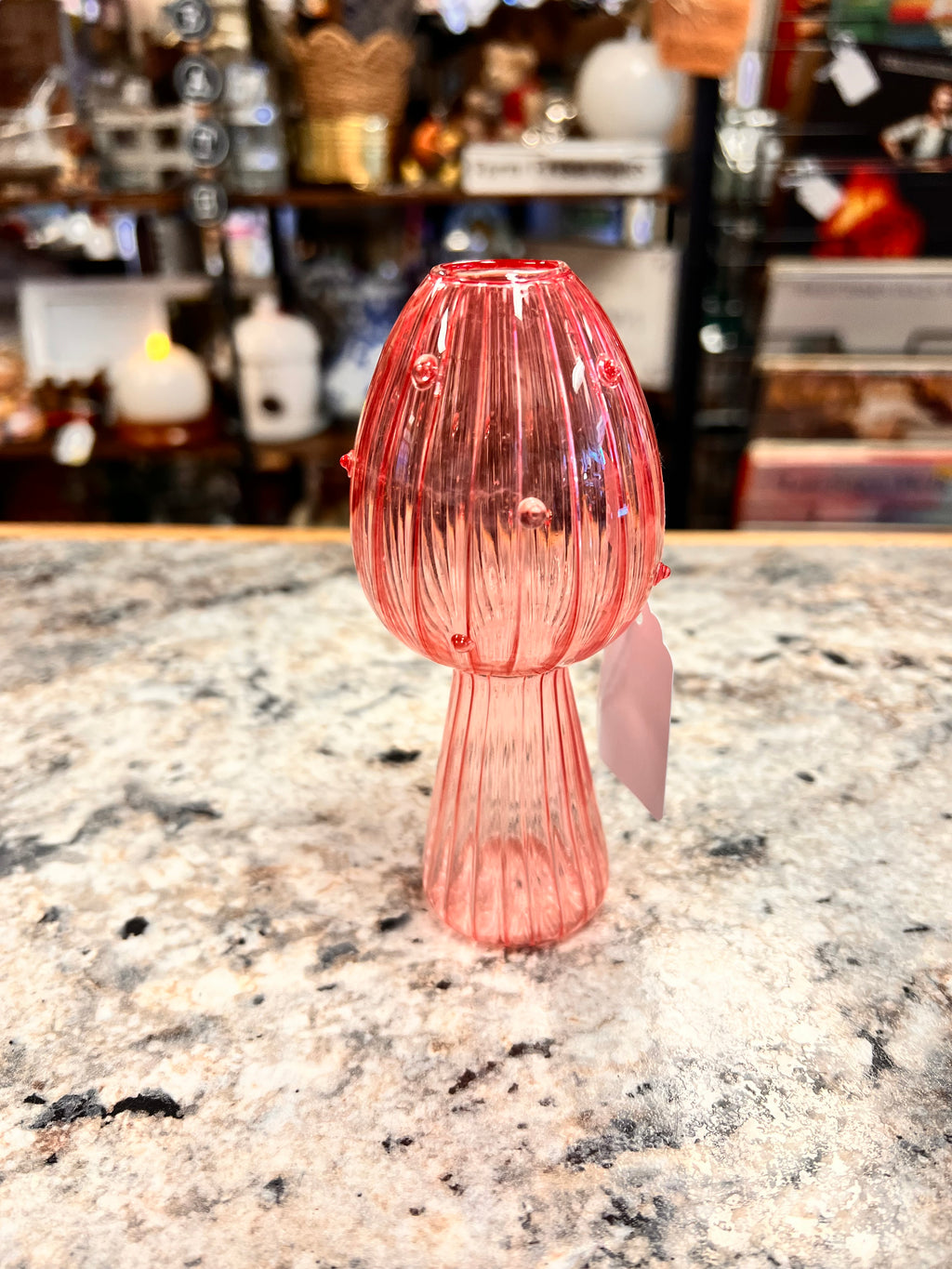 Propagation Vase