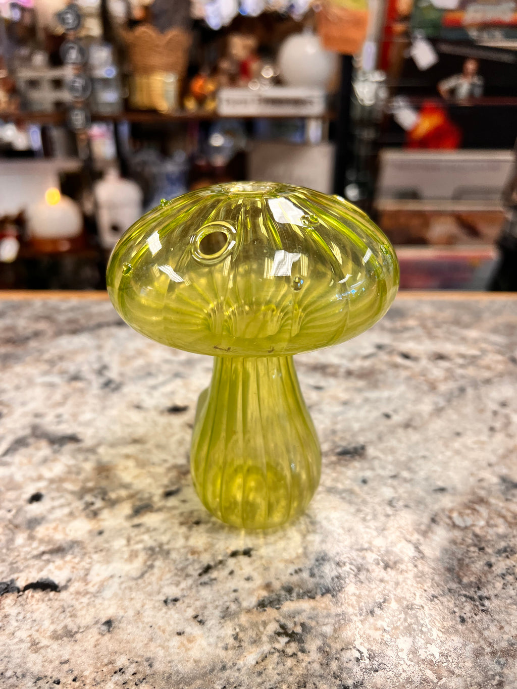 Propagation Vase