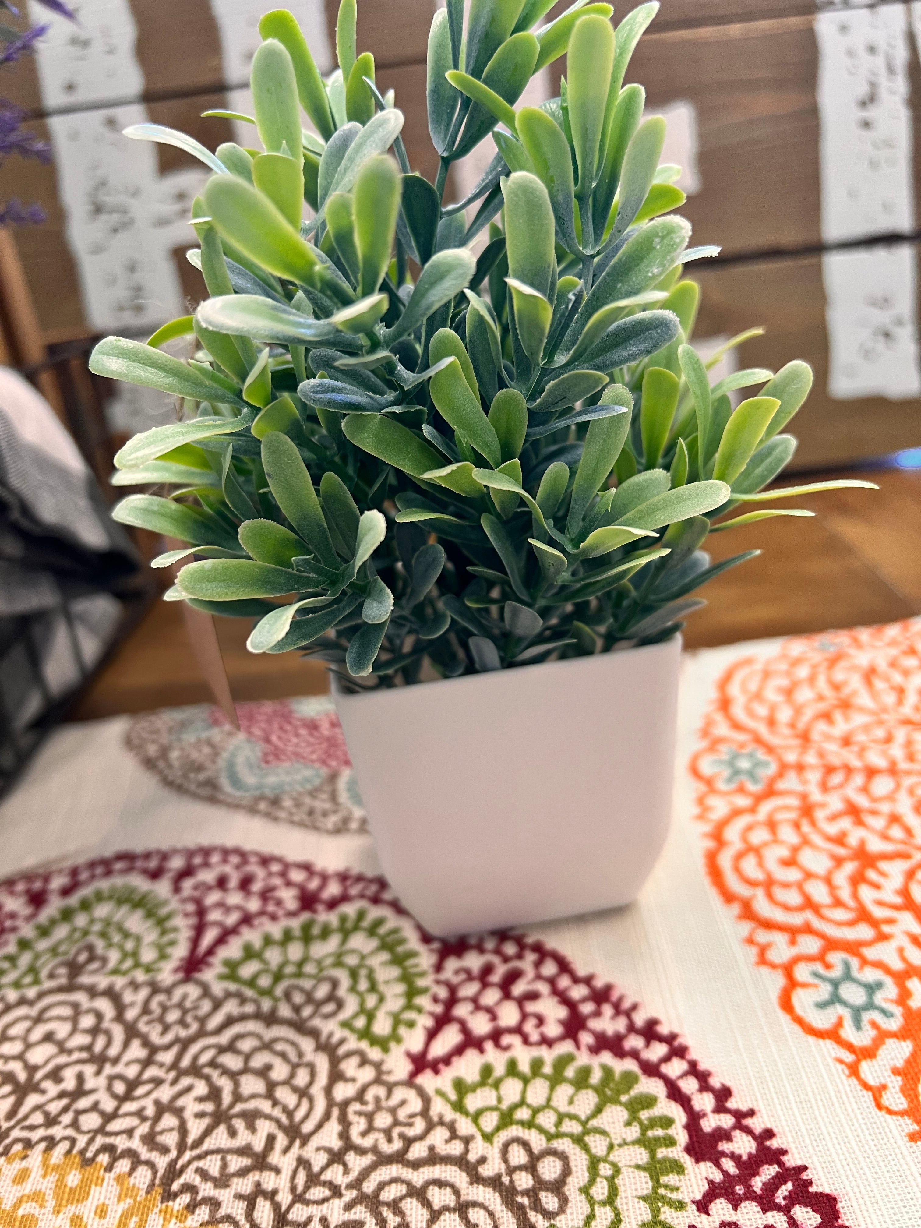 Small Plant