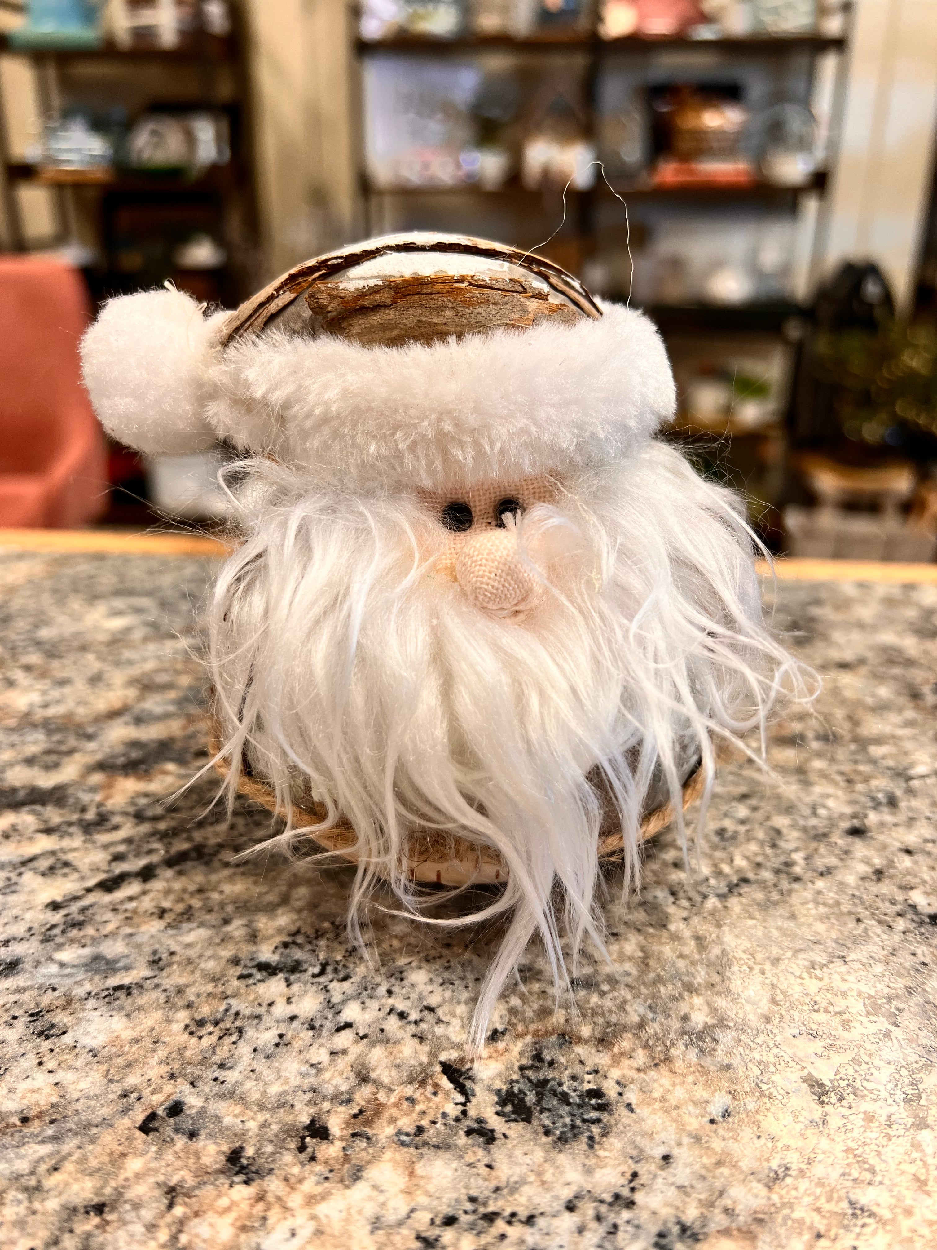 Santa Decor