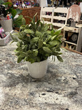 Faux Plant & Vase