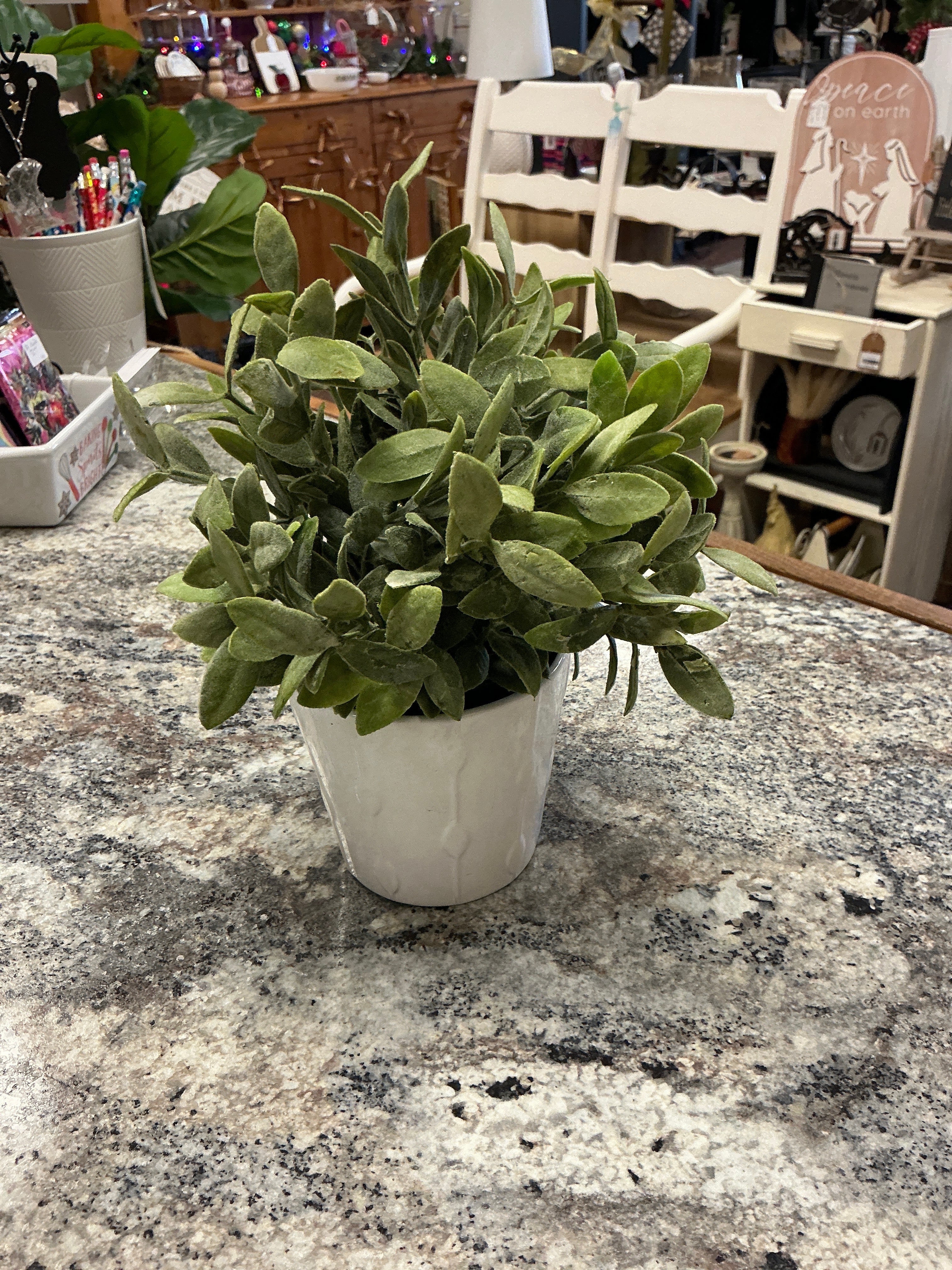 Faux Plant & Vase