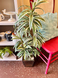 Fake Plant