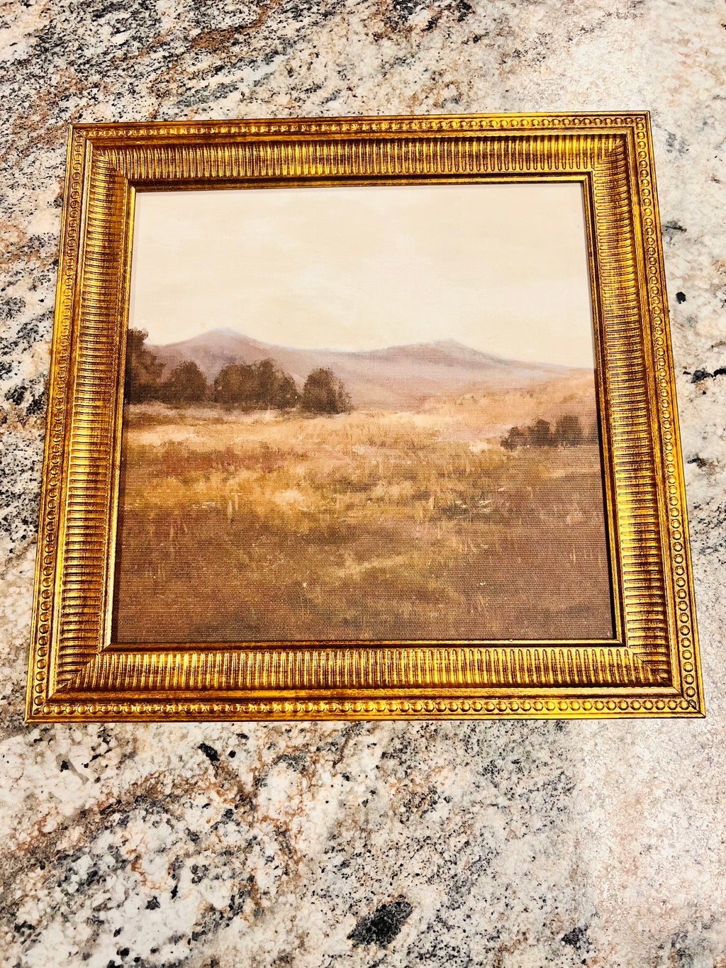 Framed Art