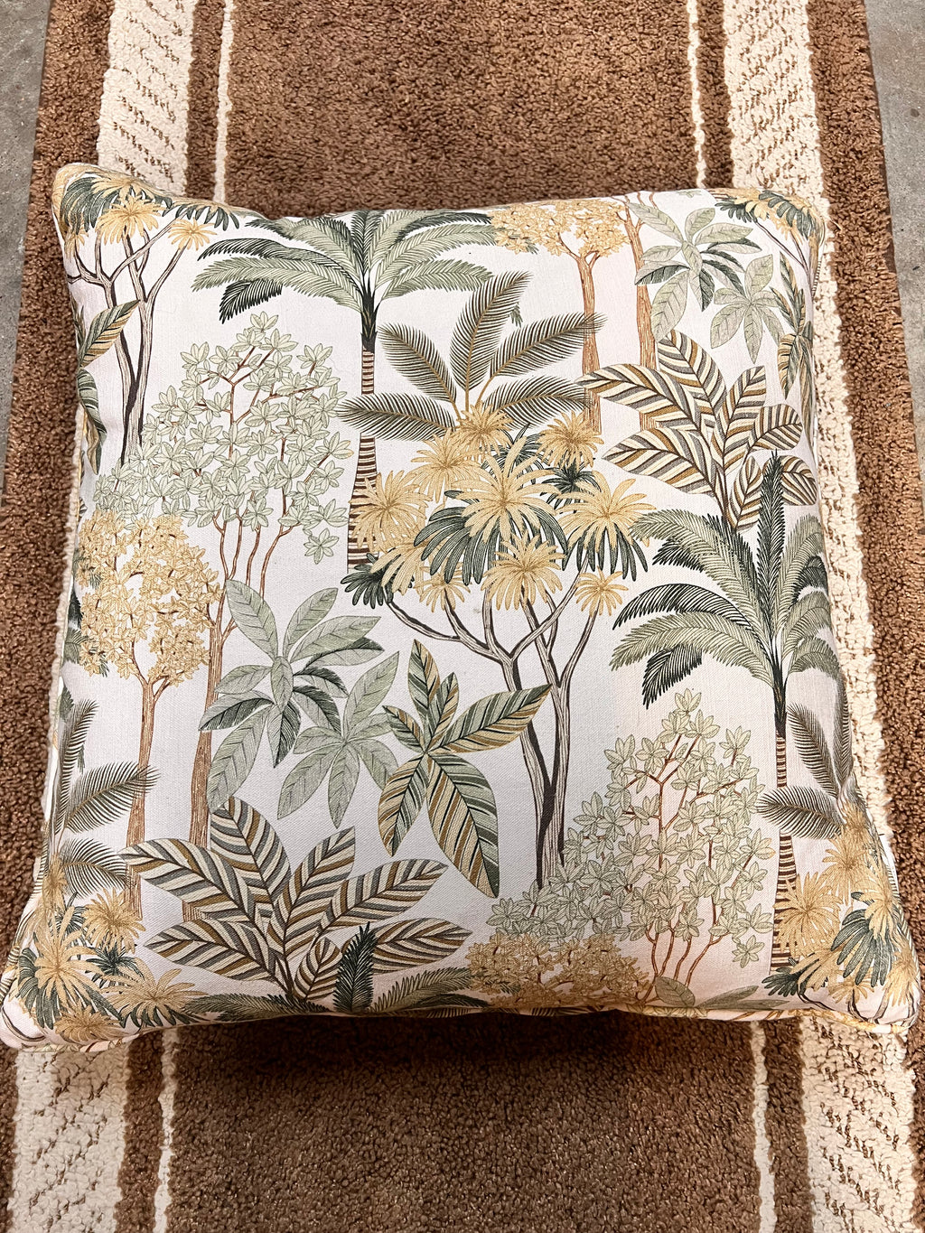 Throw Pillow