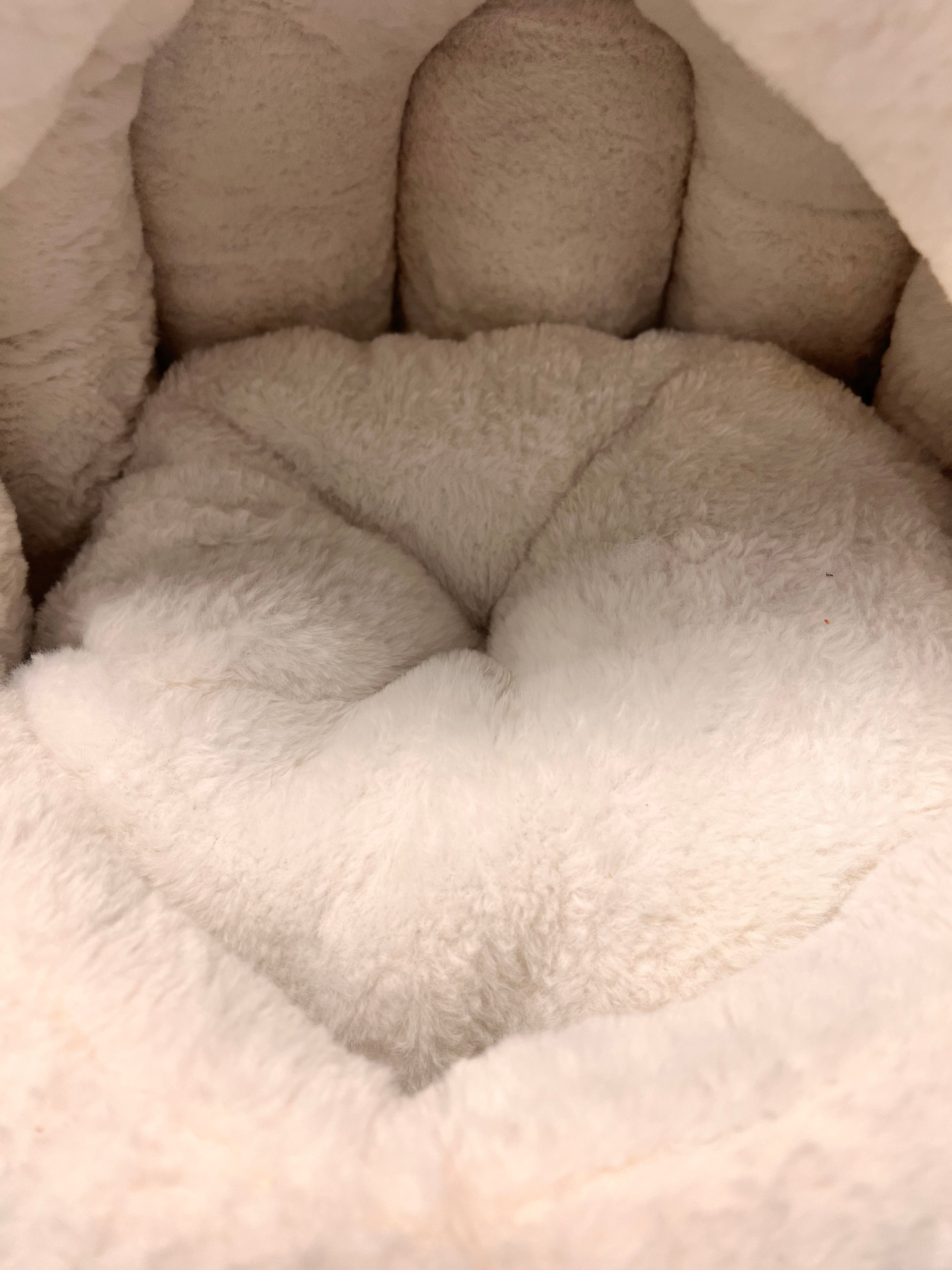 Pet Bed