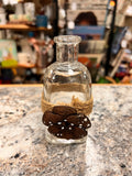 Bottle Vase