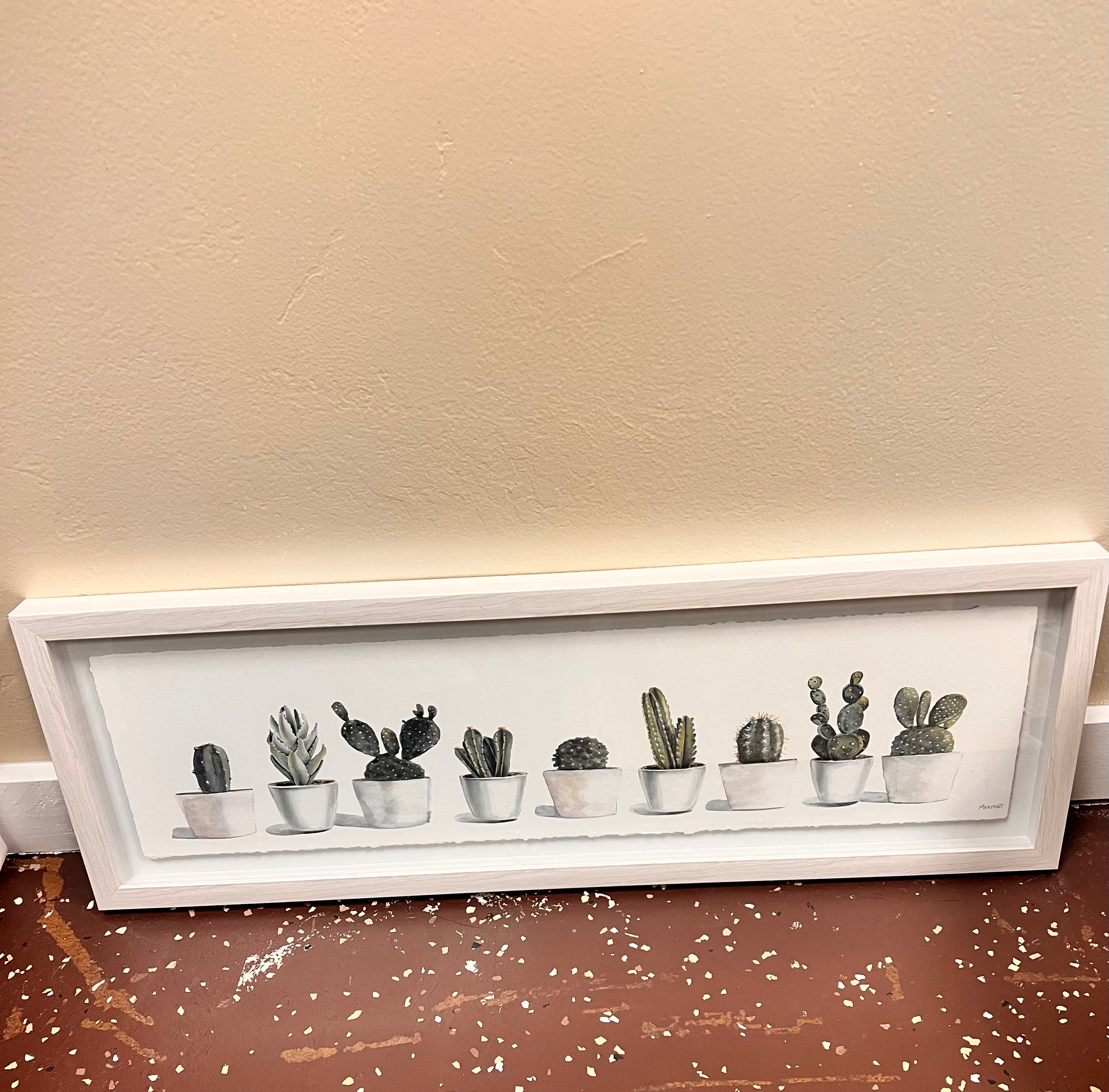 Cactus Picture
