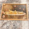 Duck Picture