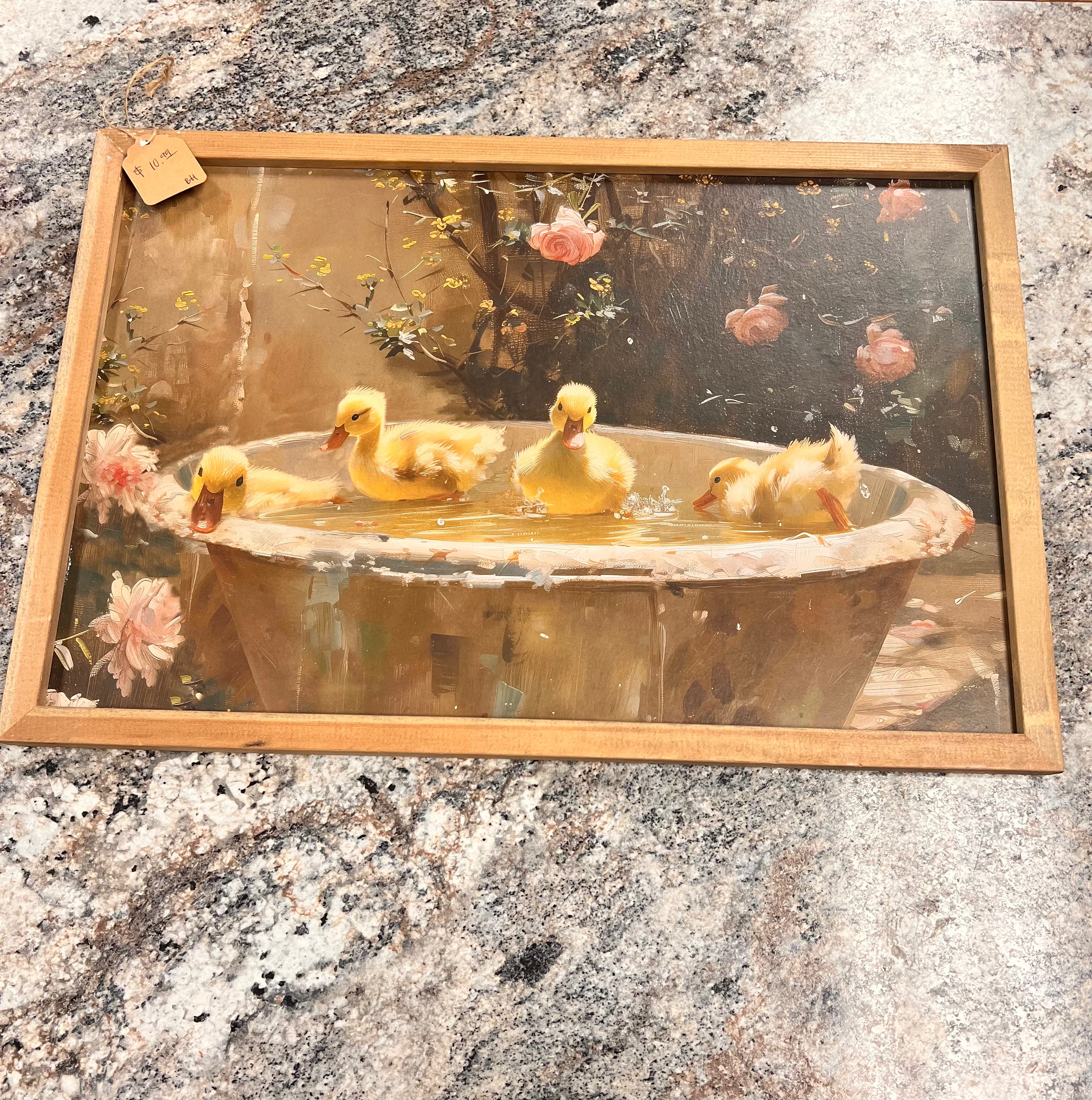 Duck Picture