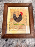 Rooster Picture