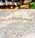 Plaster Wall Plaque