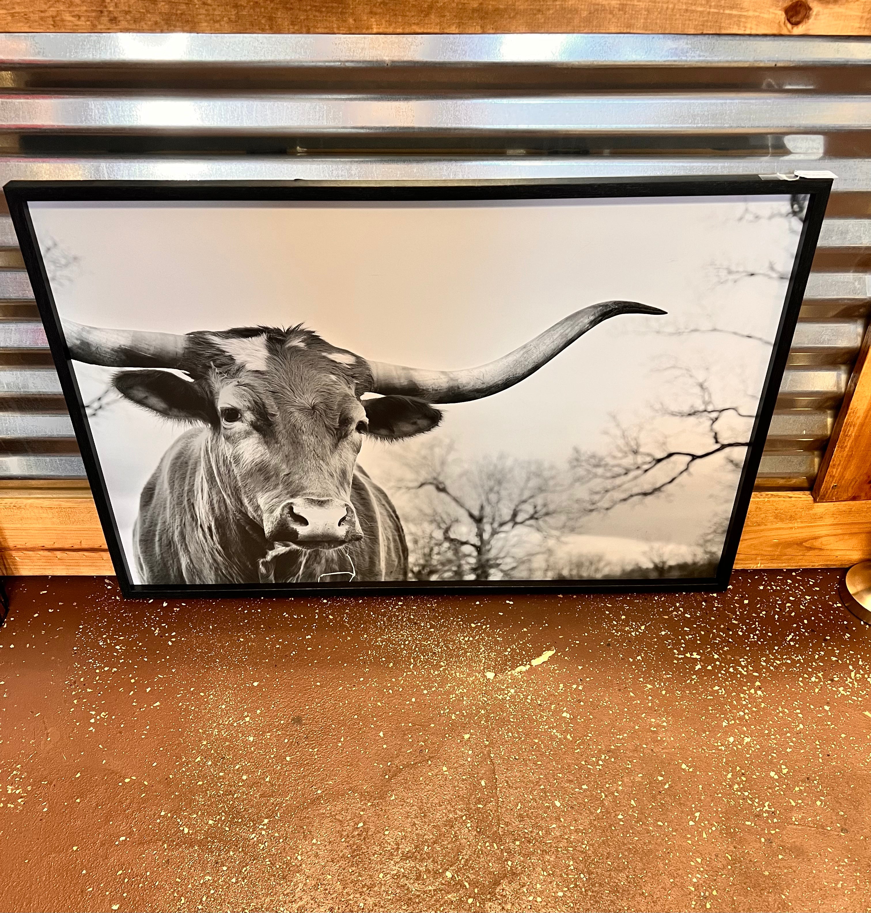 Bull Picture