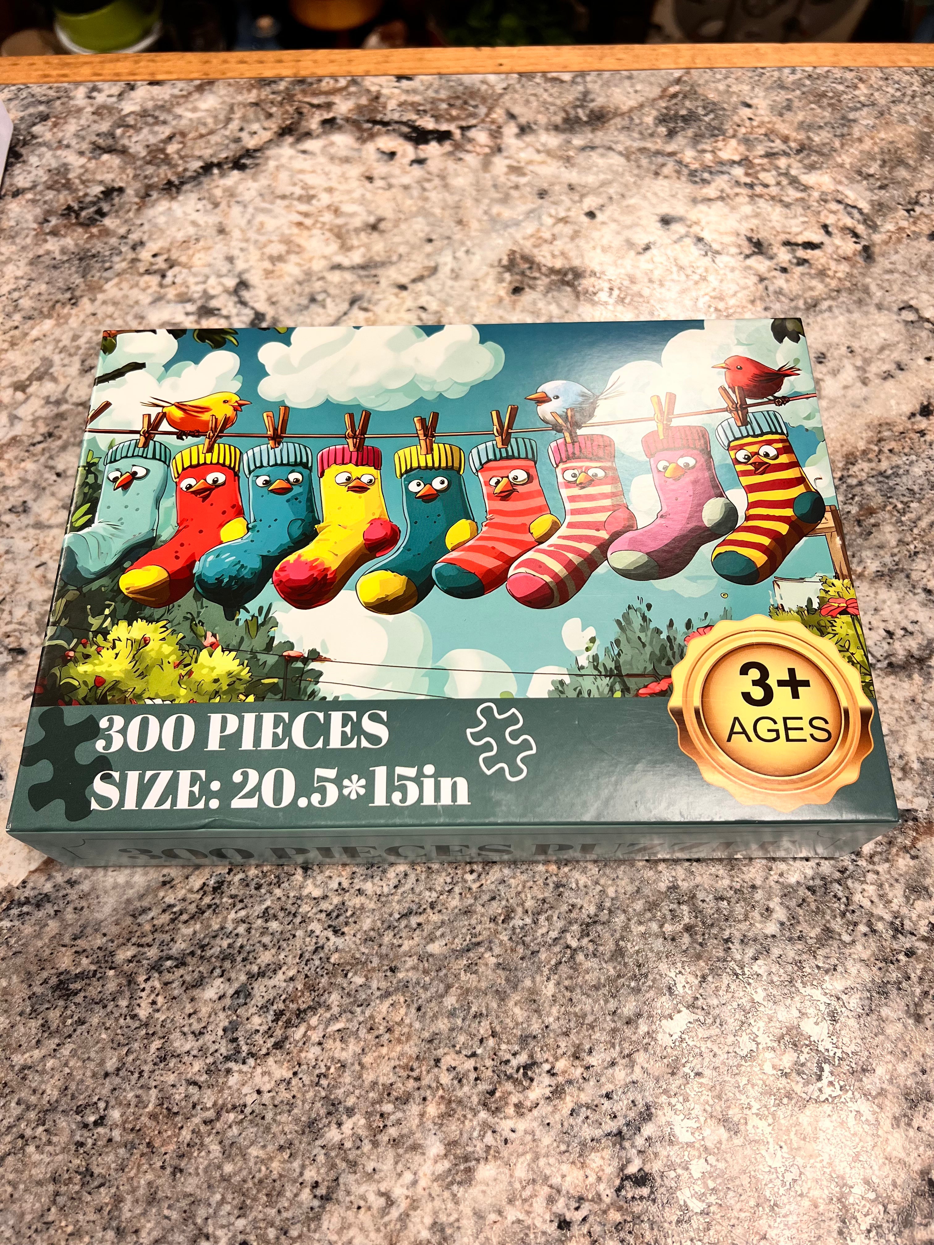 Sock Puzzle