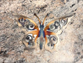 Metal Butterfly