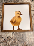Baby Duck