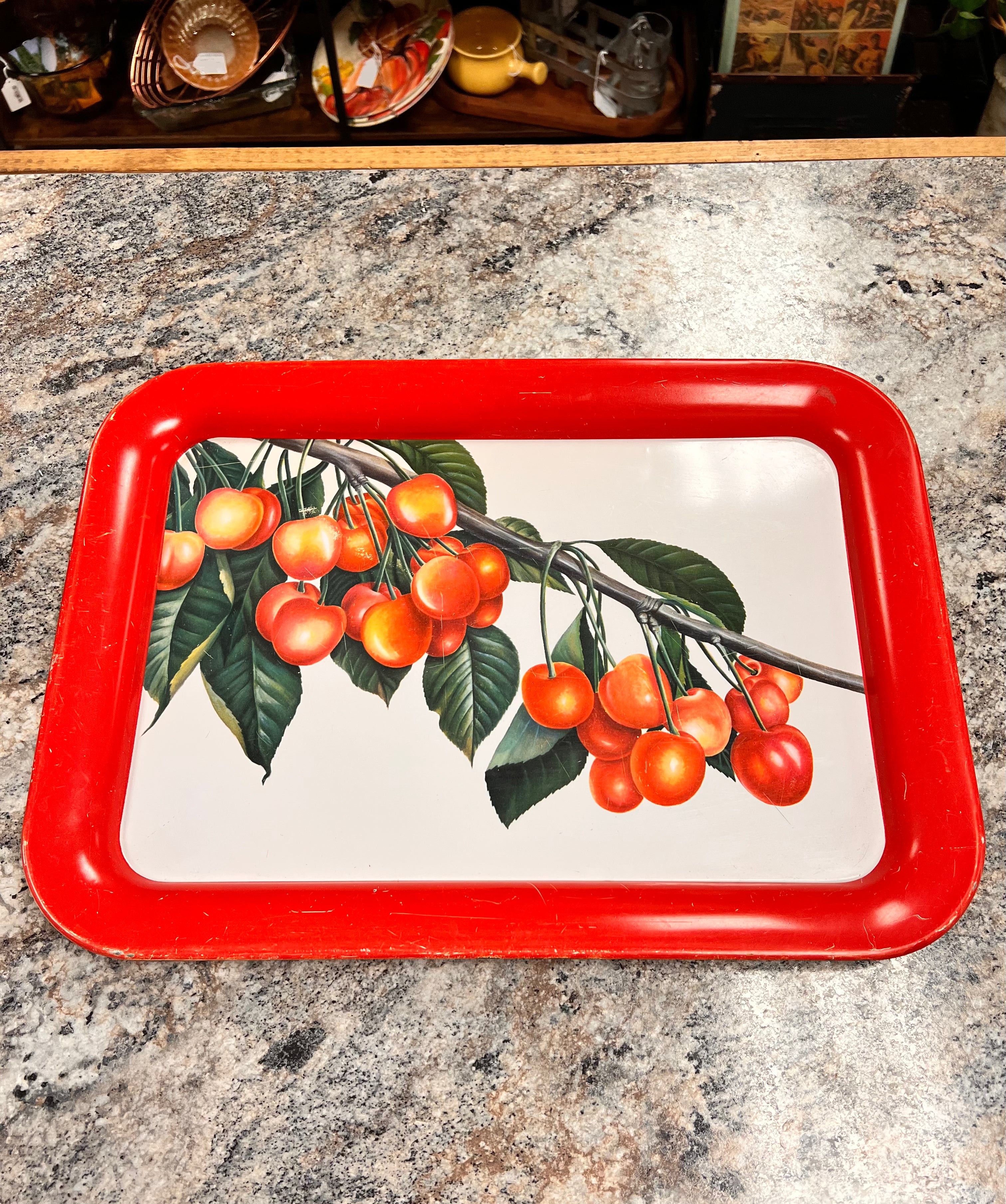 1960s Metal Tray