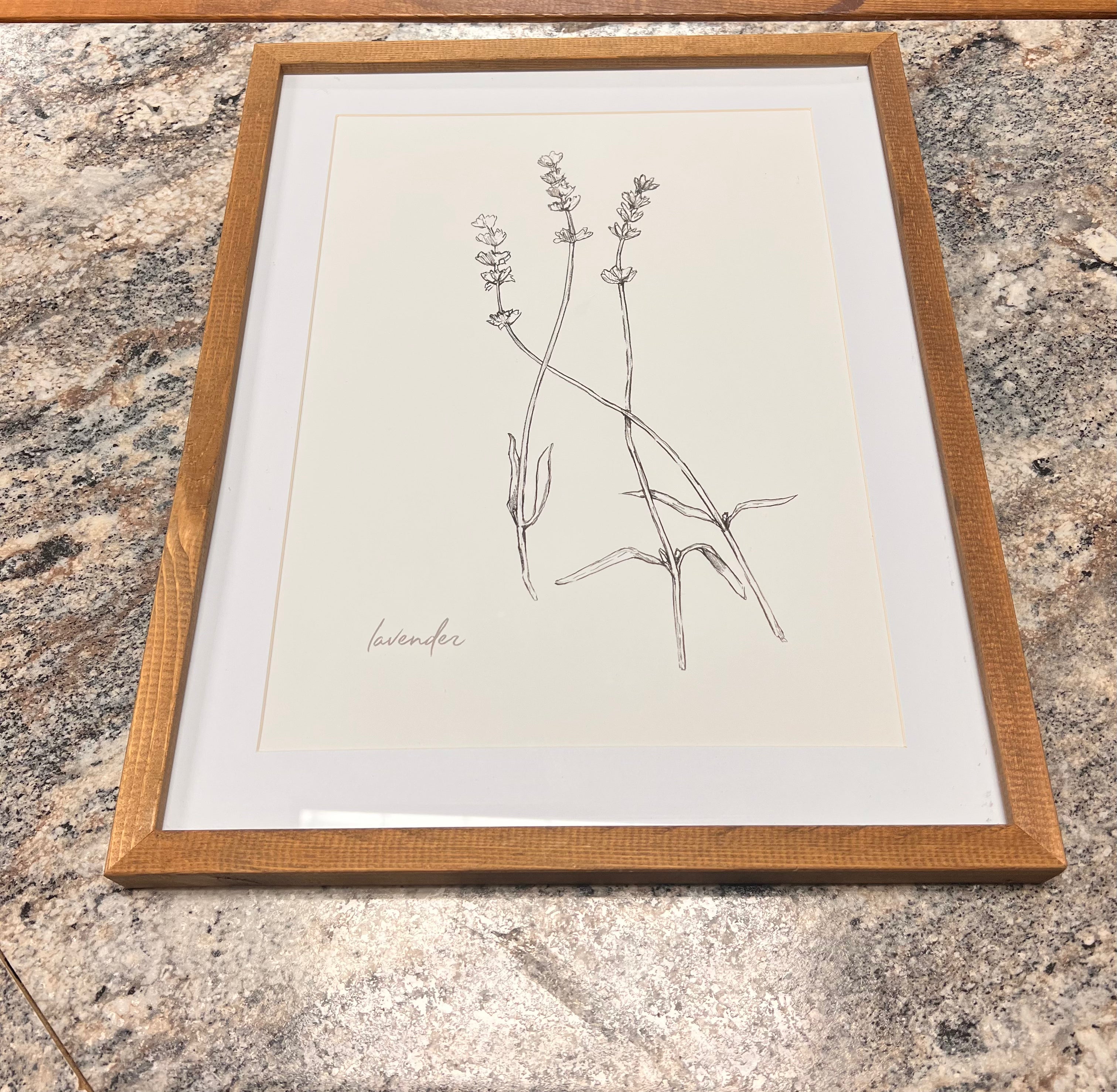 Plant Picture