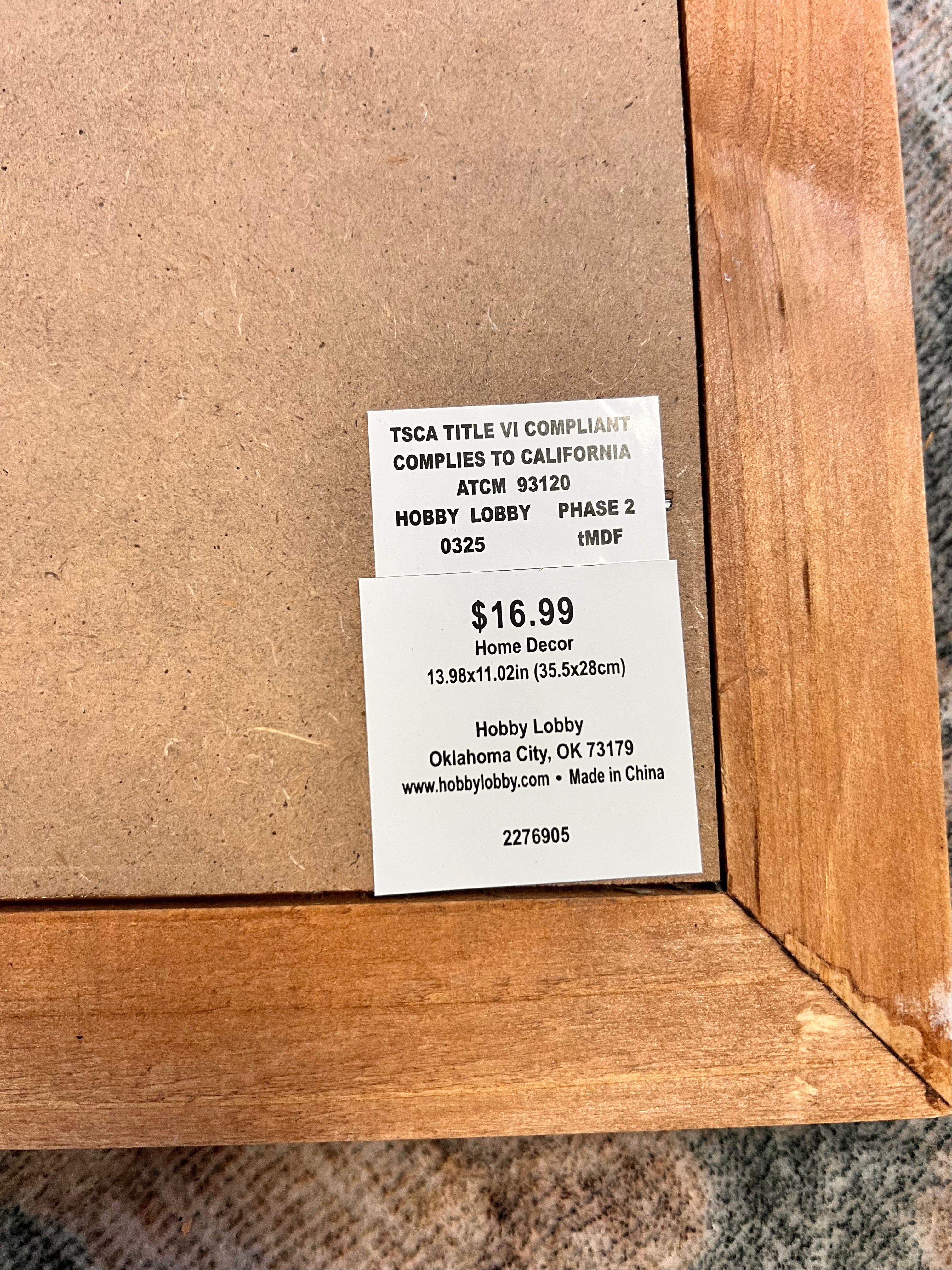 Hobby Lobby Framed Stems