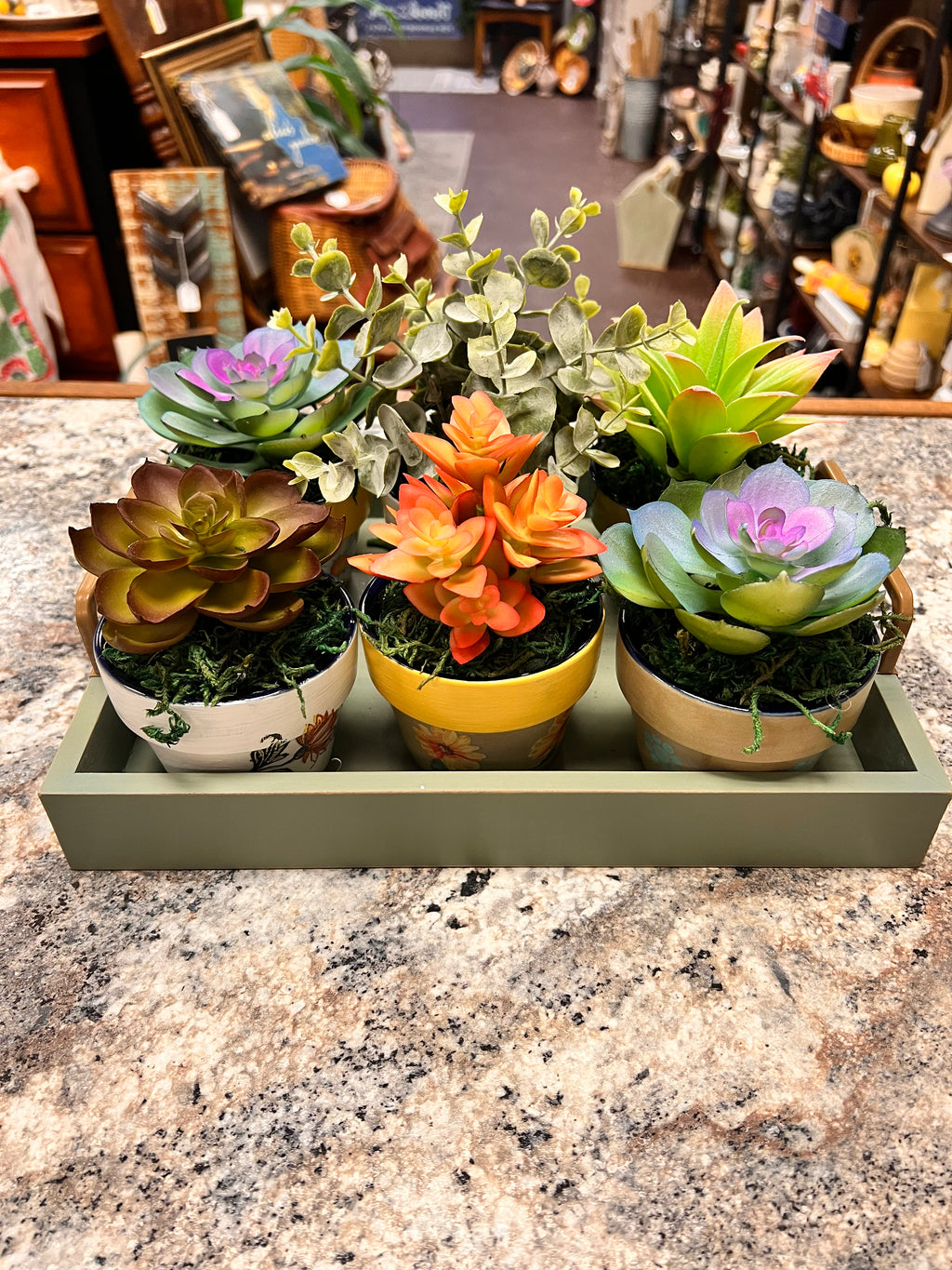 Plant Tray