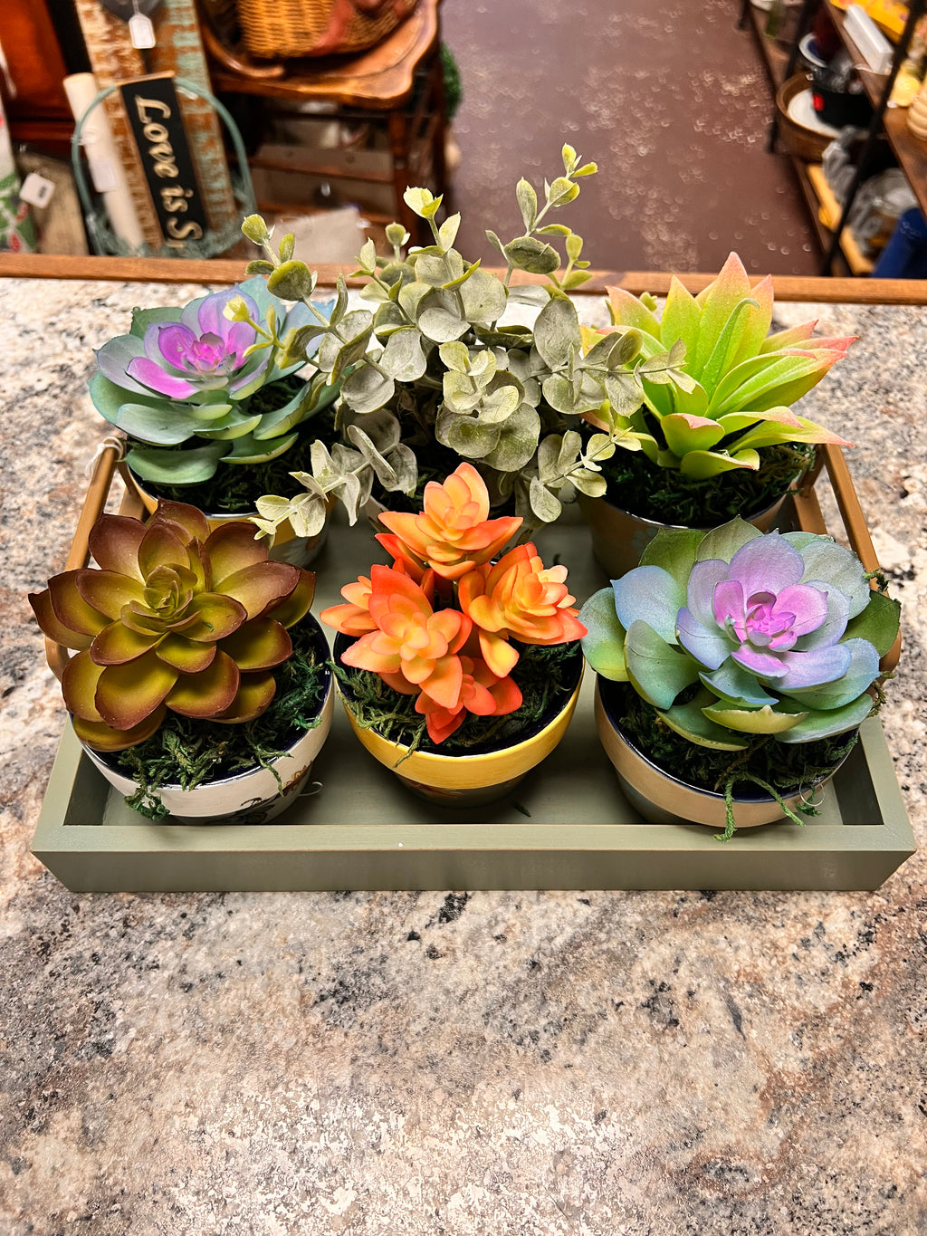 Plant Tray