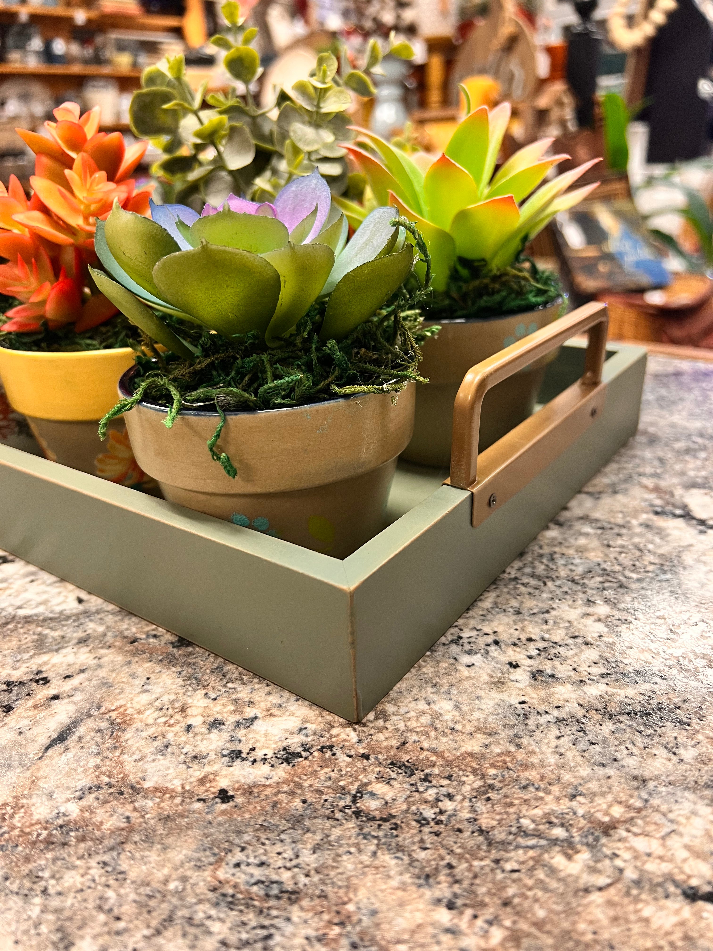 Plant Tray