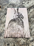 Bunny Canvas