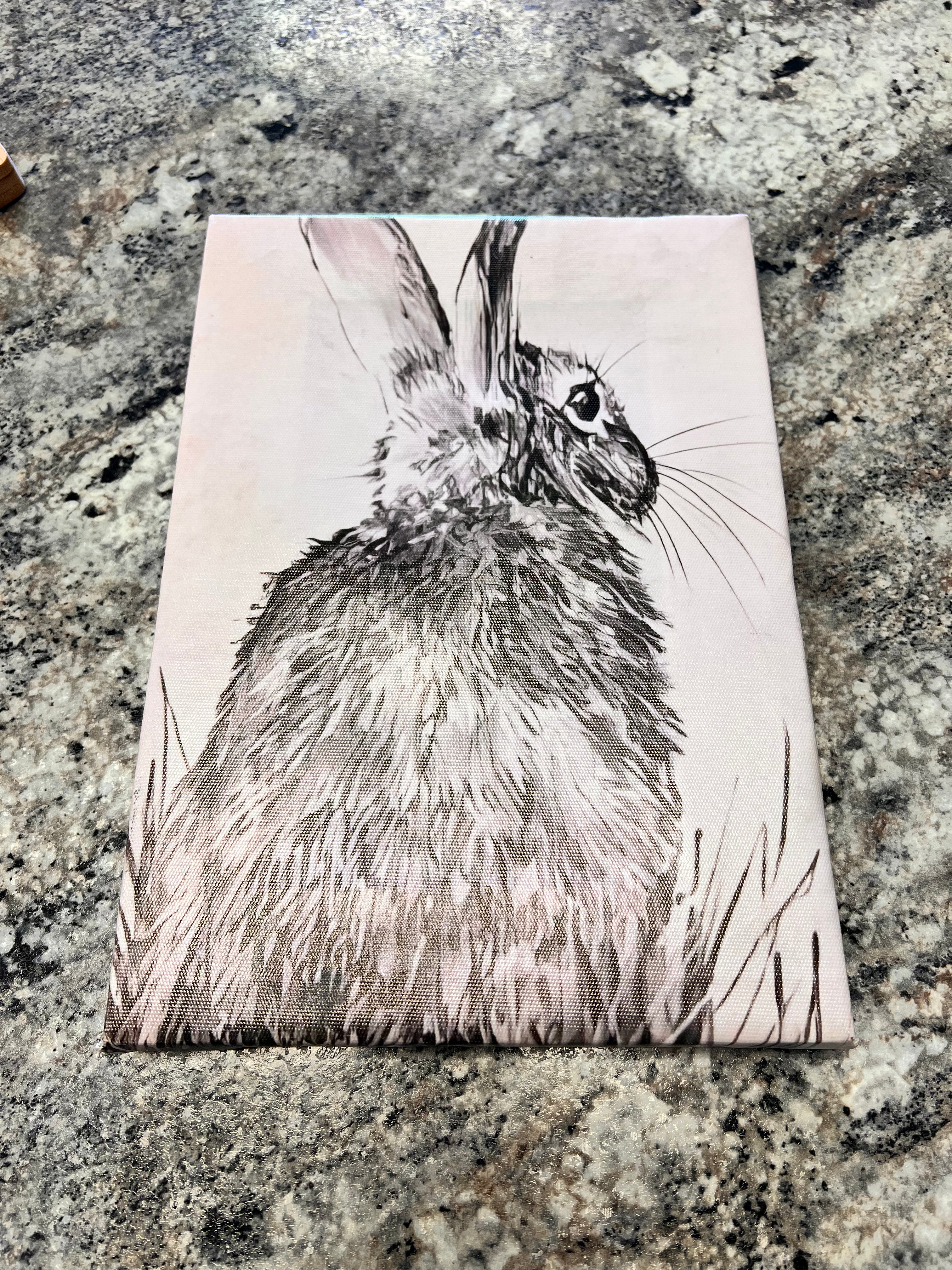 Bunny Canvas