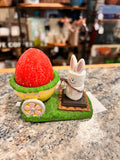 S’mores Bunny