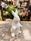 Spring Bunny