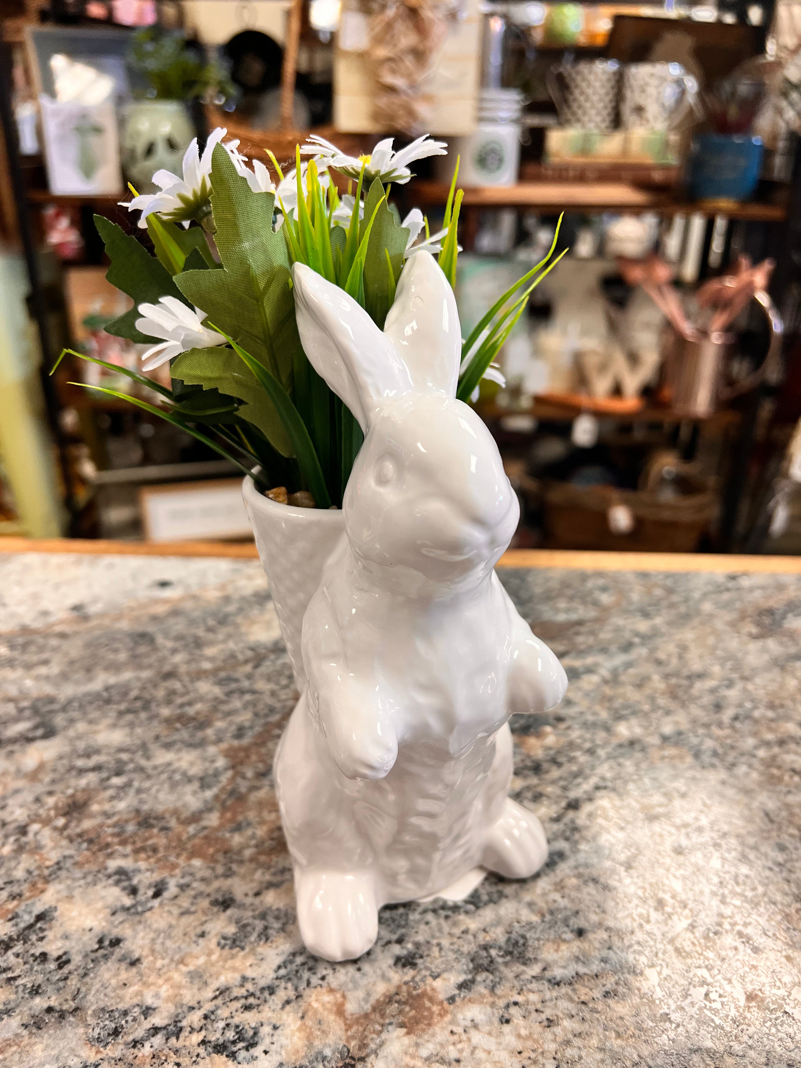 Spring Bunny