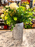 Plant Decor