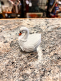 Swan