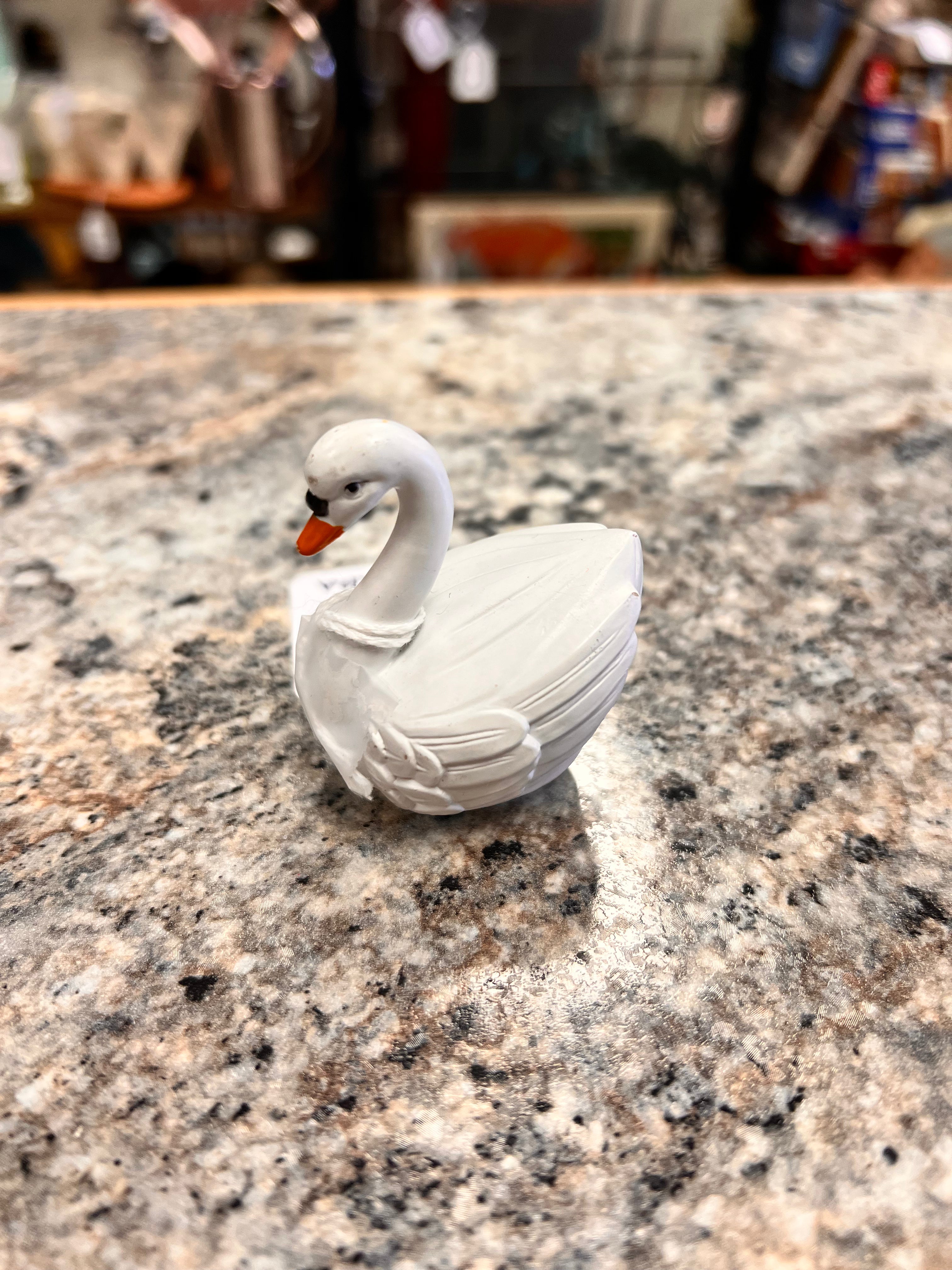 Swan