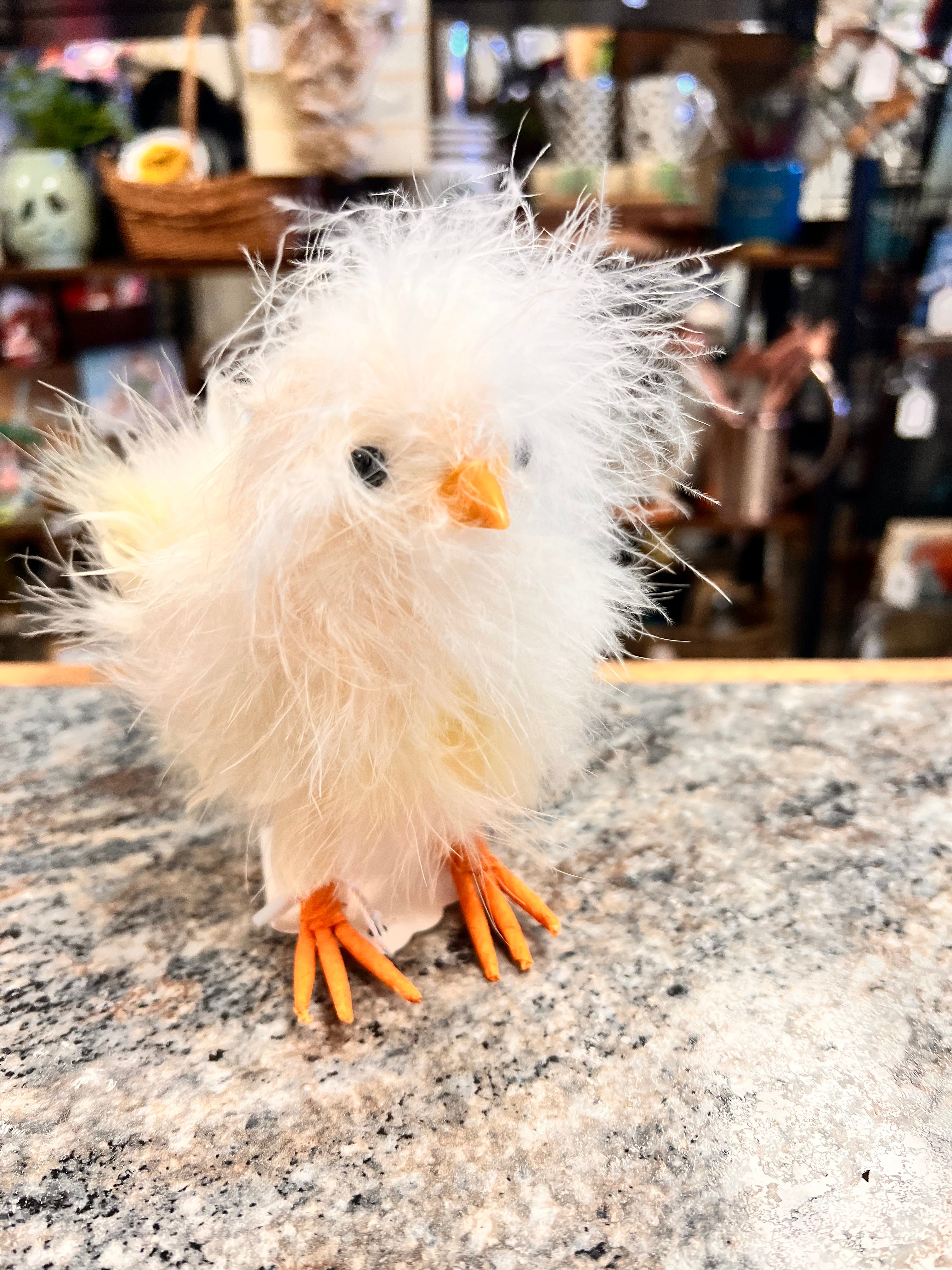 Fluffy Chick