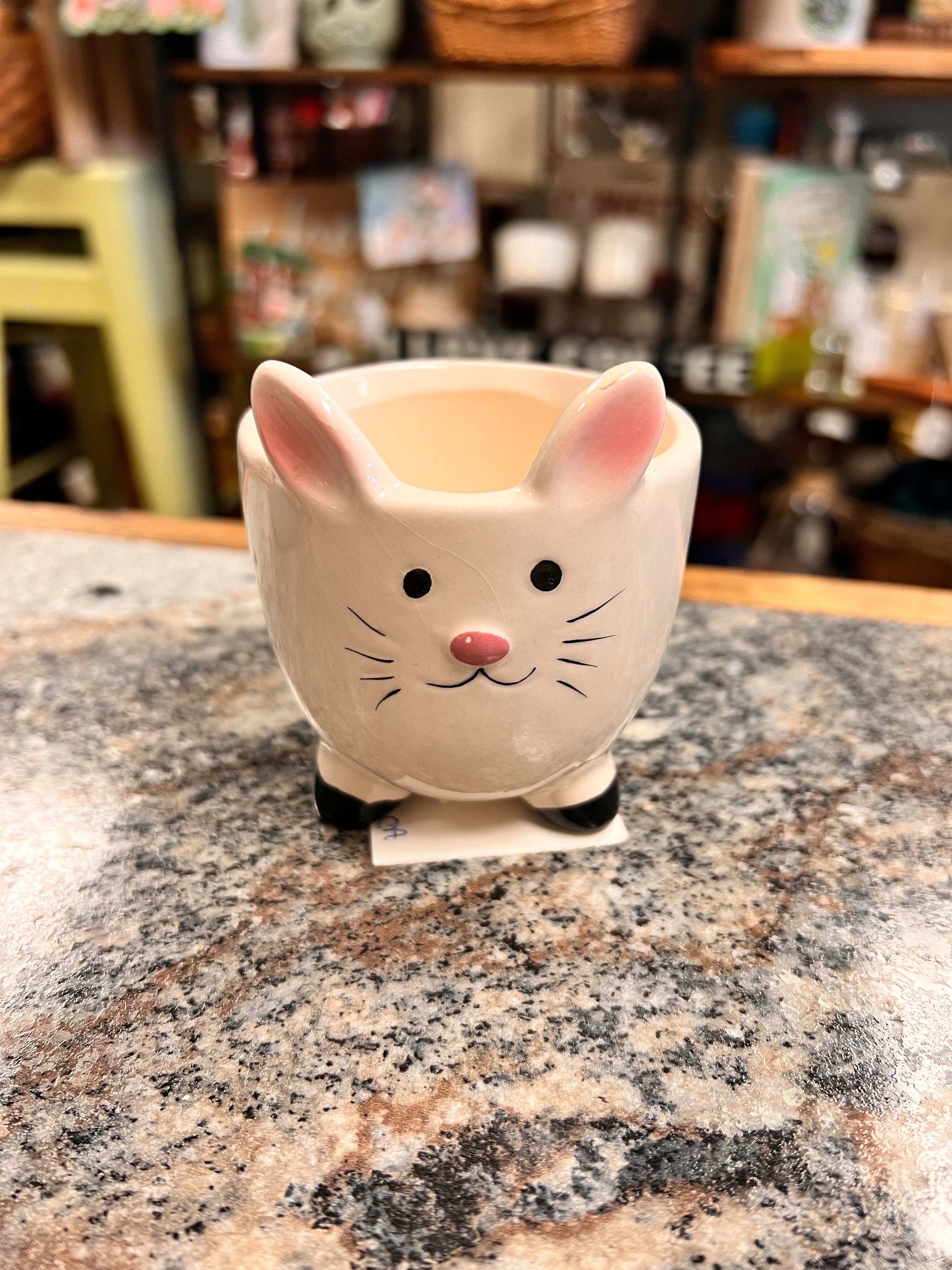 Bunny Bowl