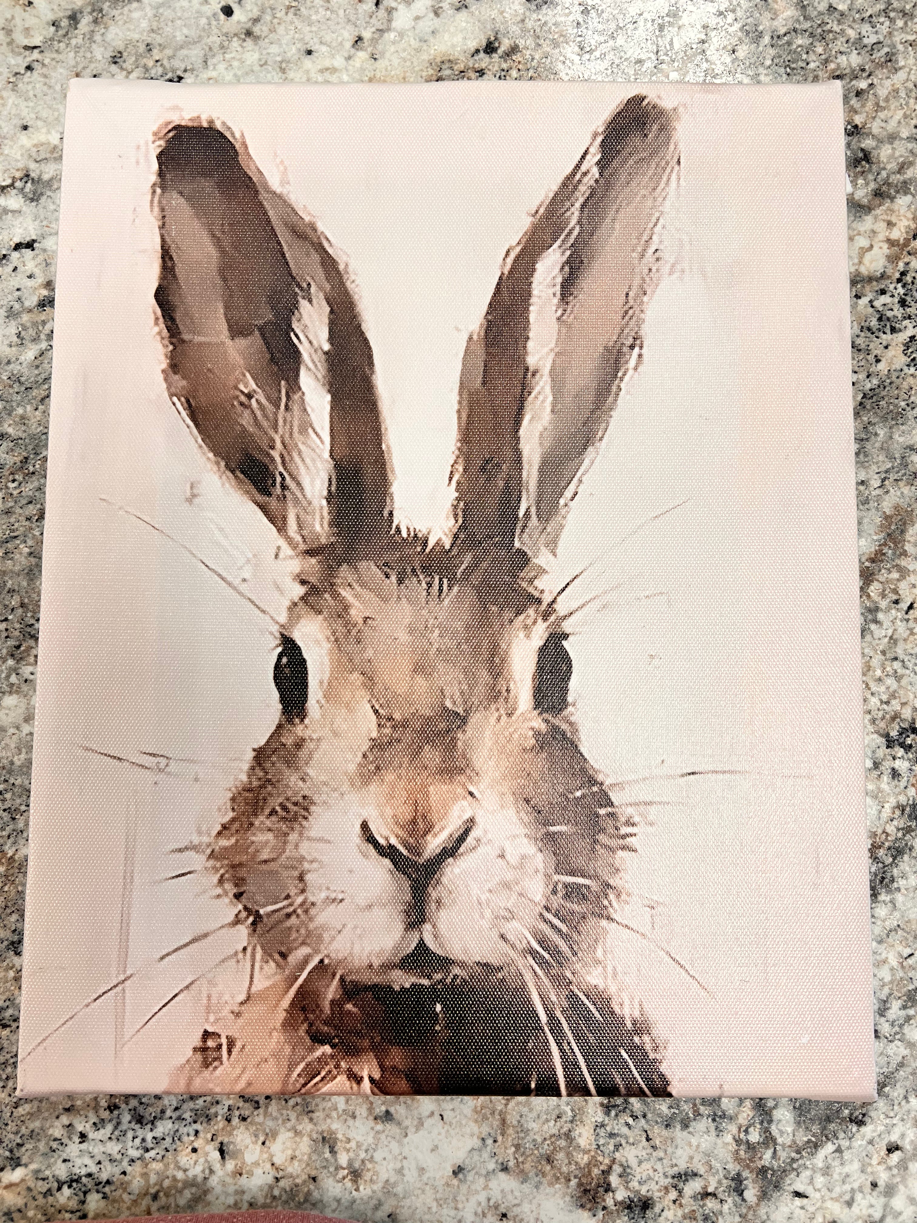 Bunny Canvas