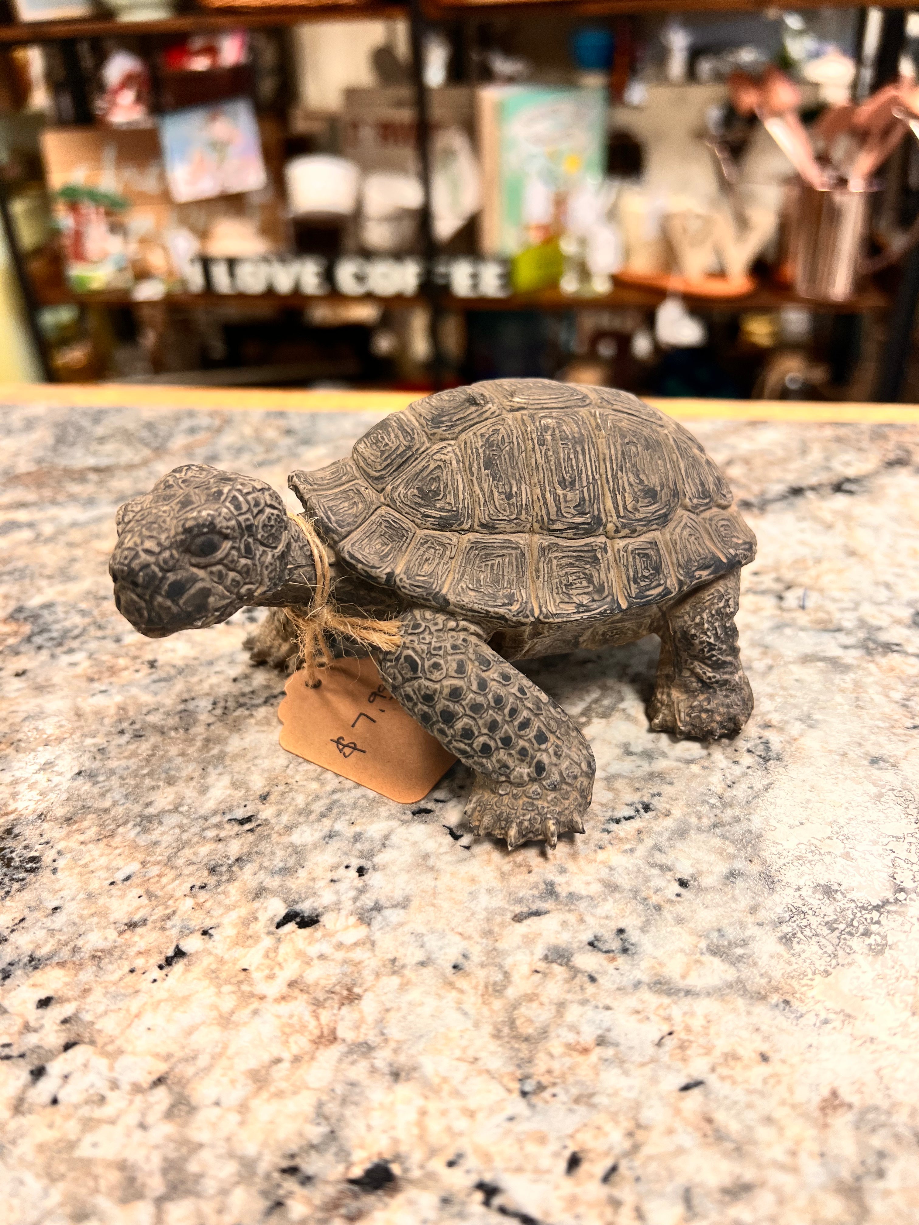 Turtle Decor