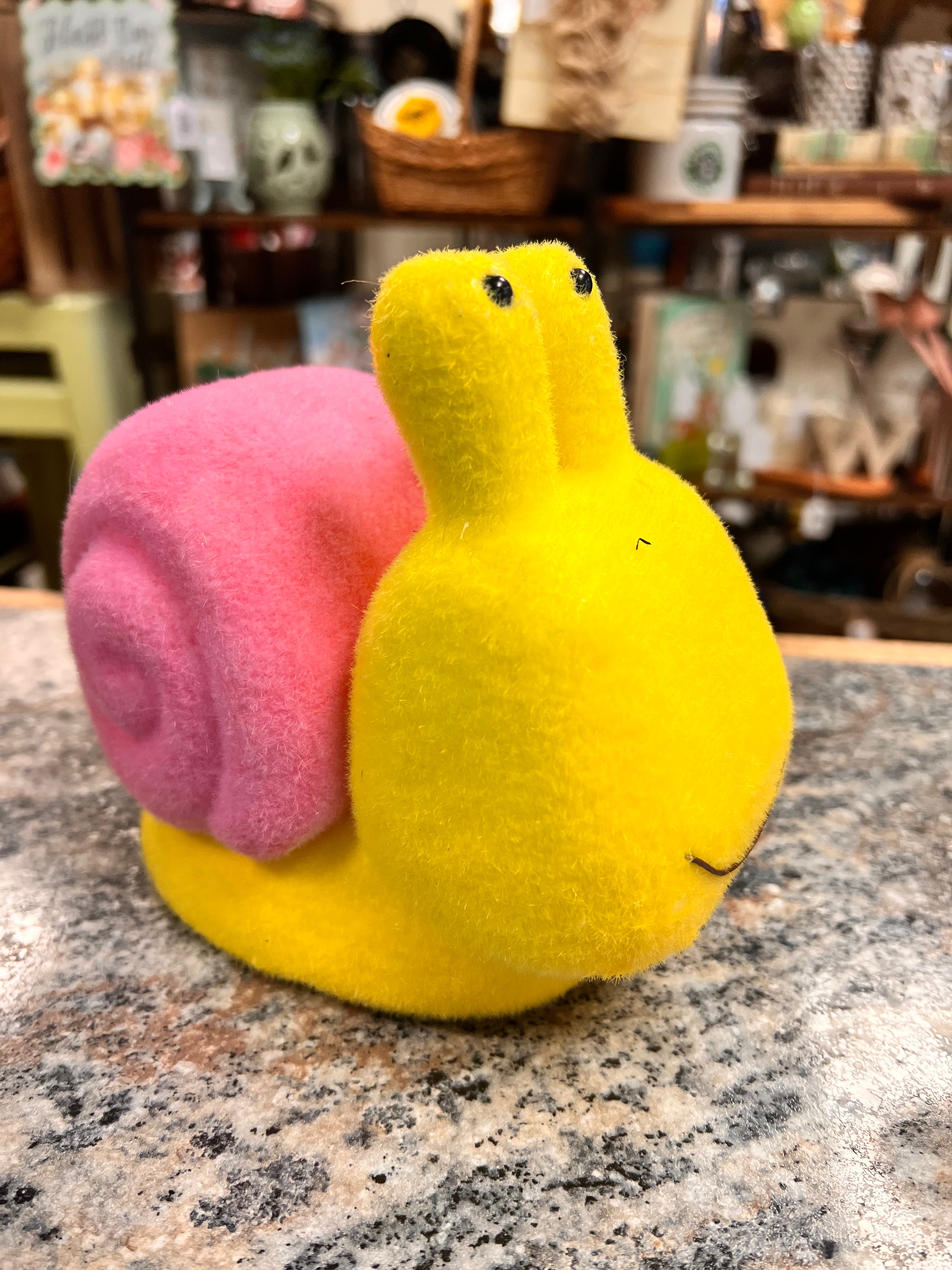 Foam Snail