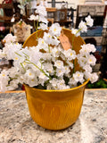 Planter Decor