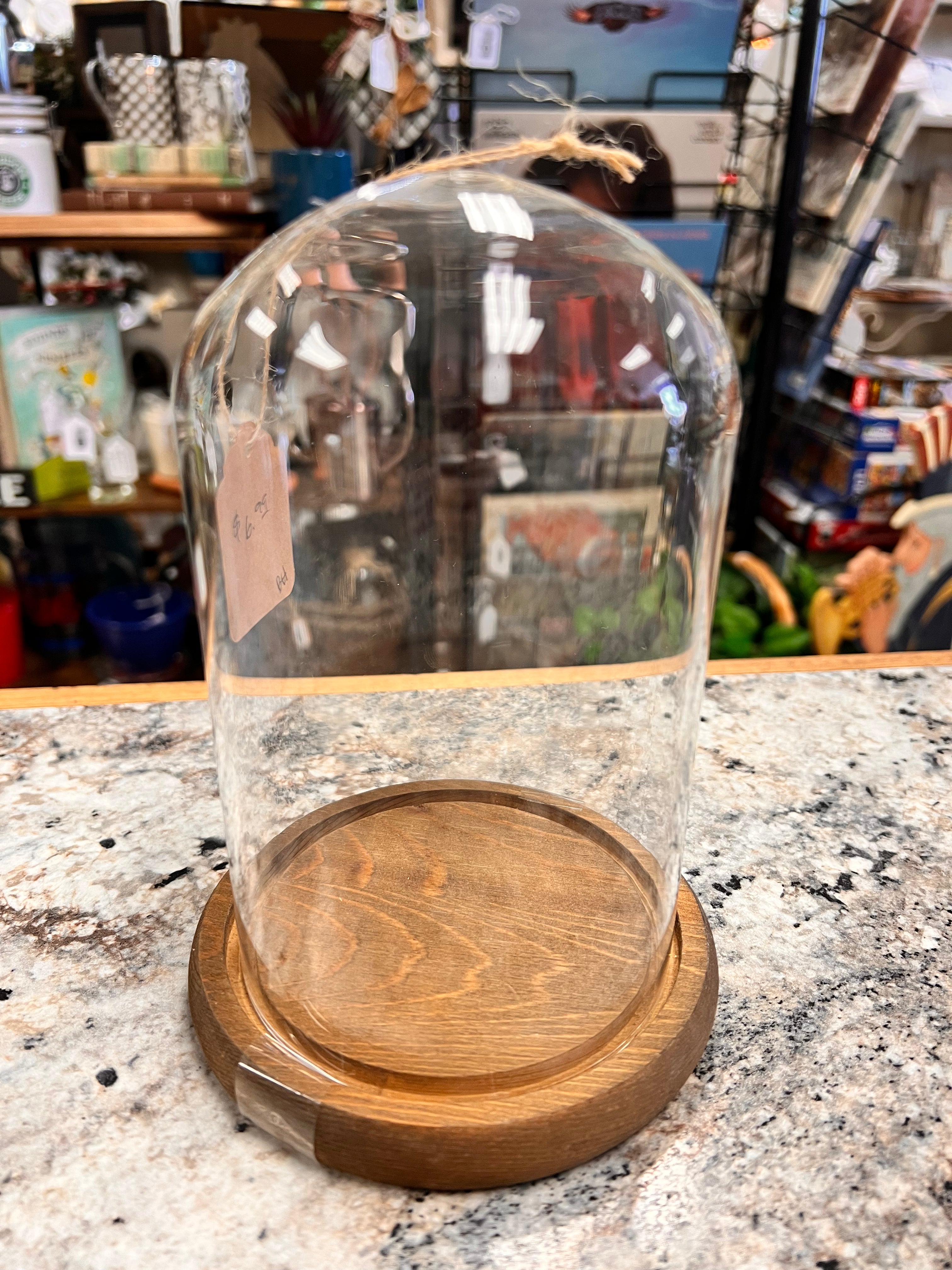 Dome Display