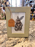 Bunny Picture