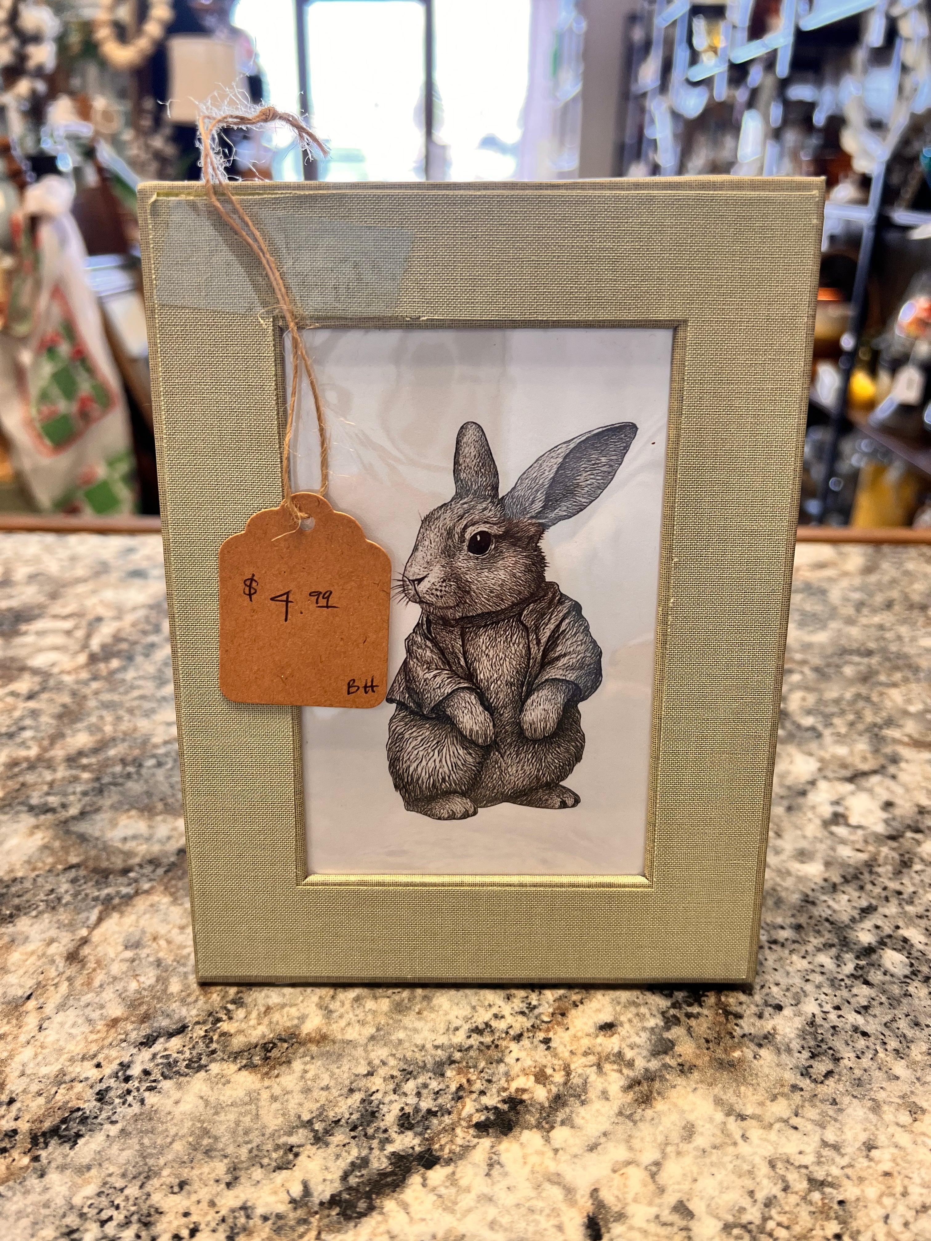 Bunny Picture