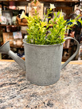 Watering Can