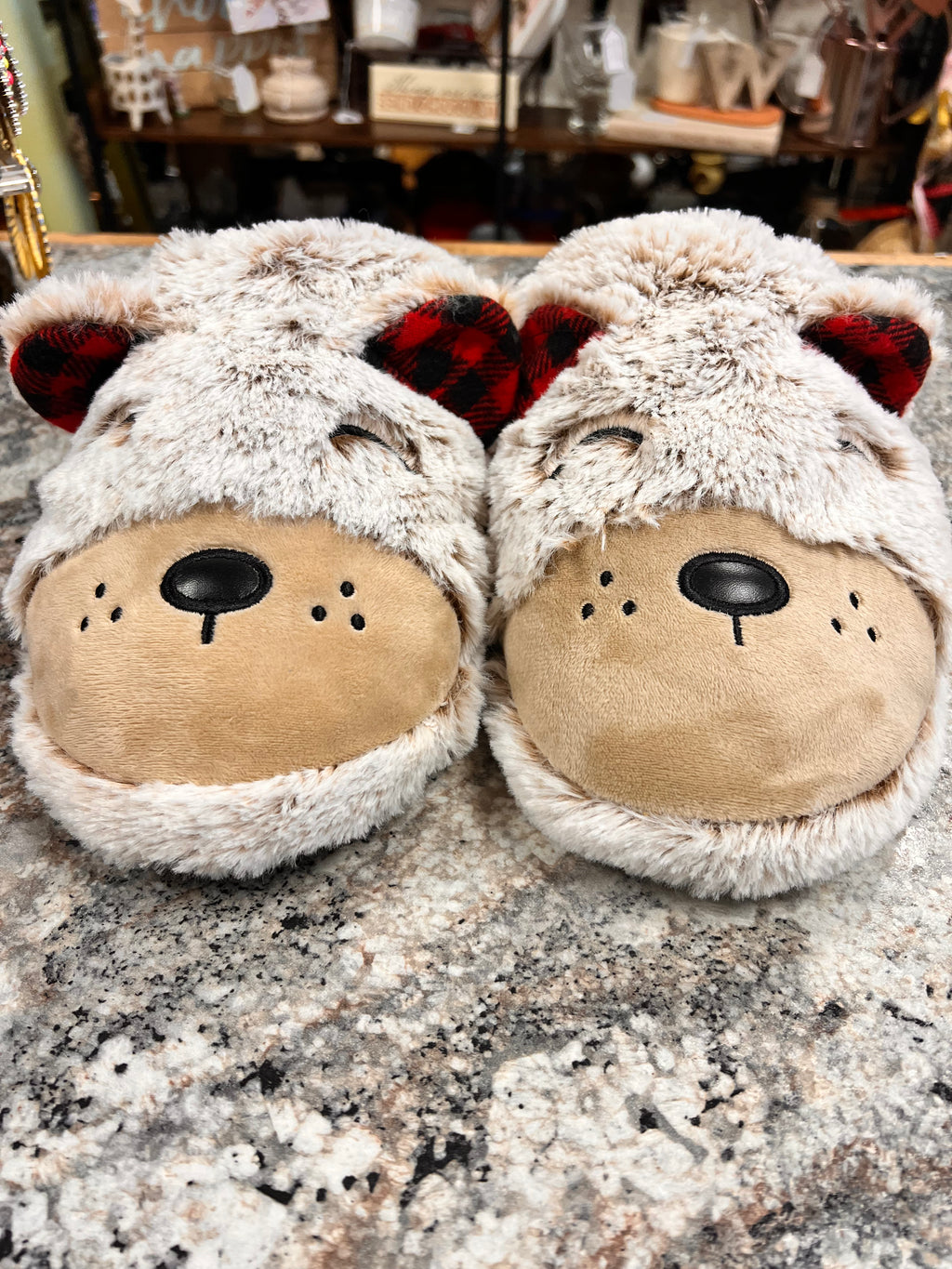Men’s Slippers