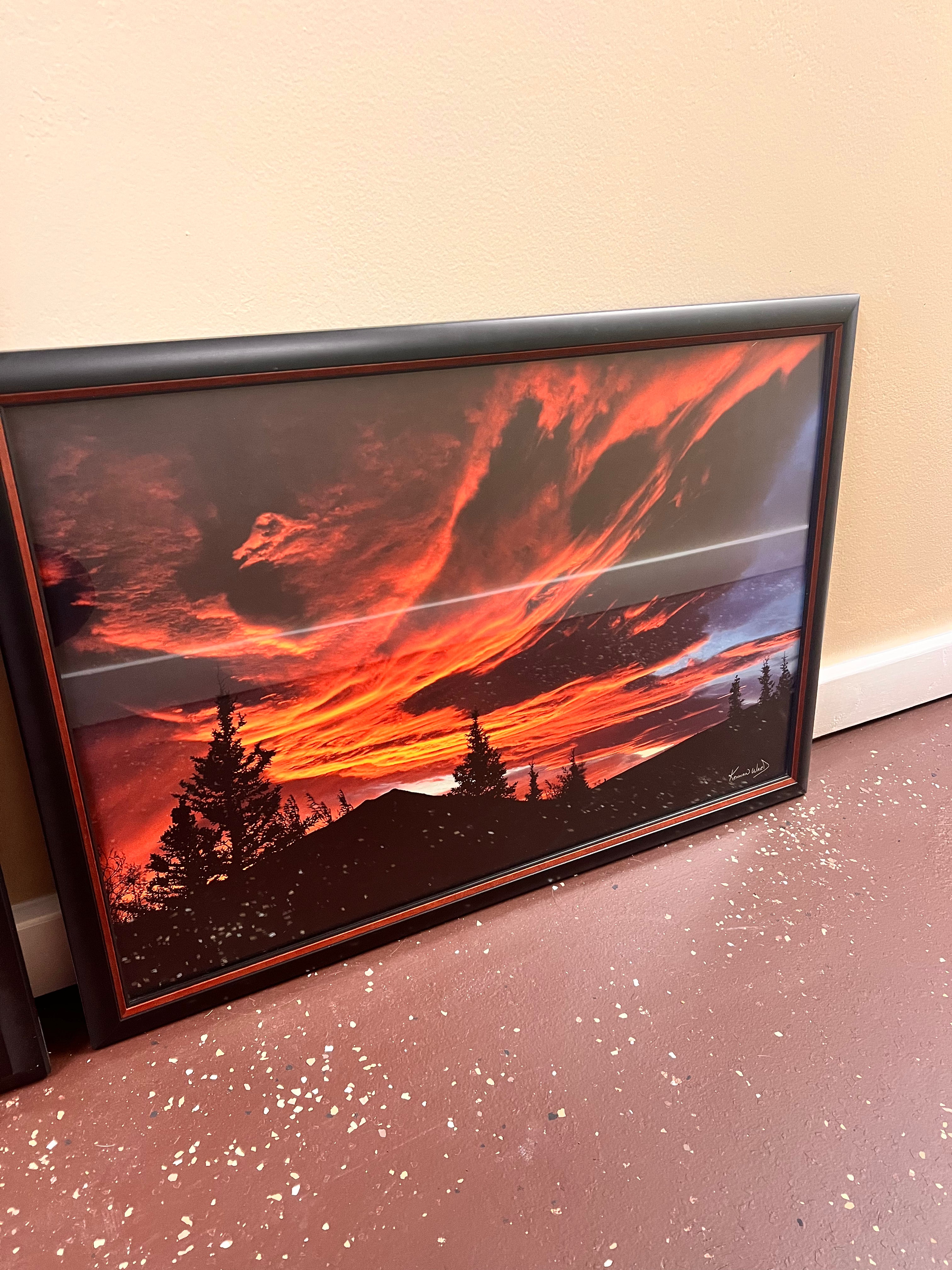 Denali National Park Framed Limited Edition Photograph by Kennan Ward 21”x30”