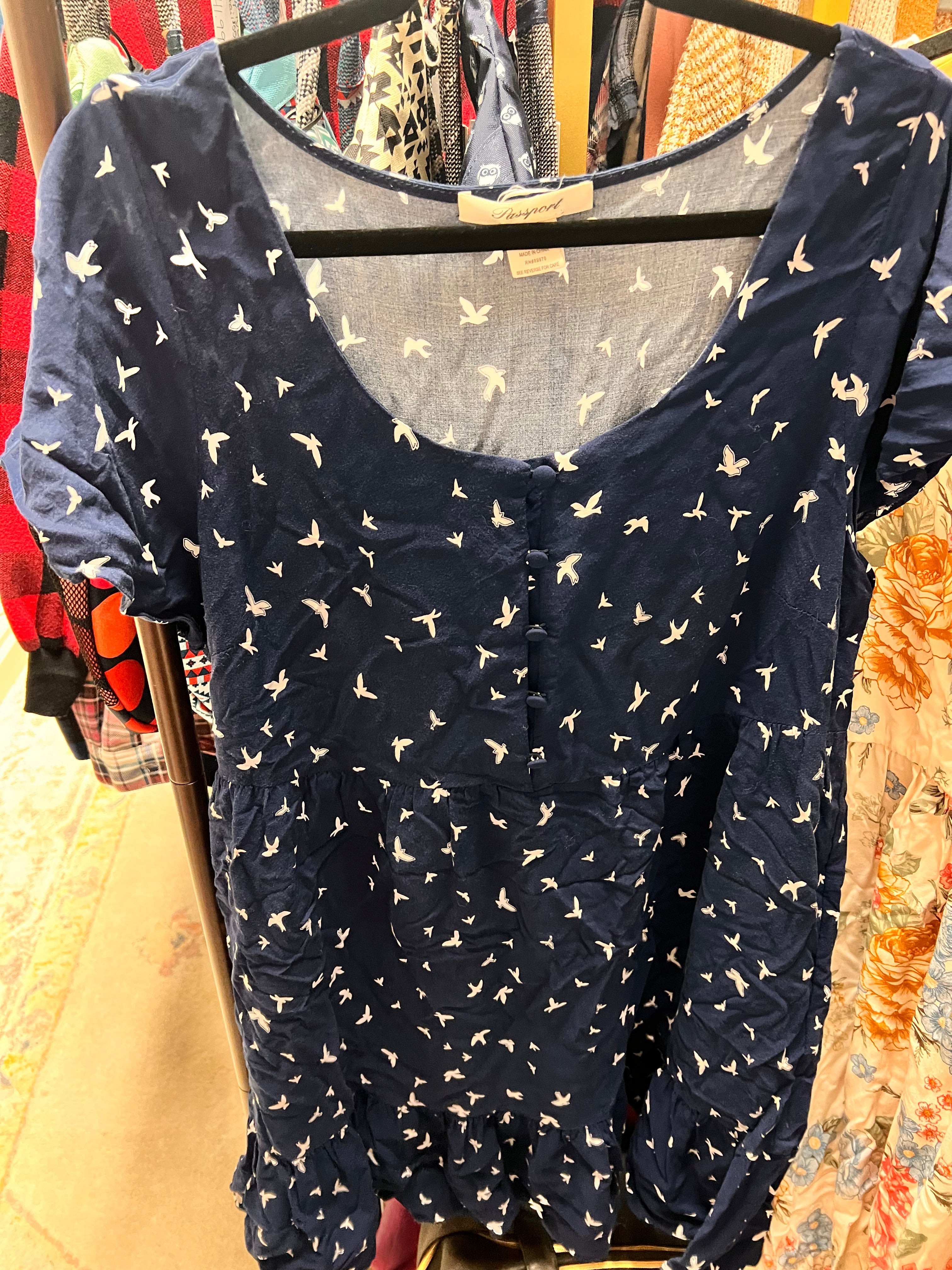Blue Dress 2X