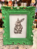Bunny Picture