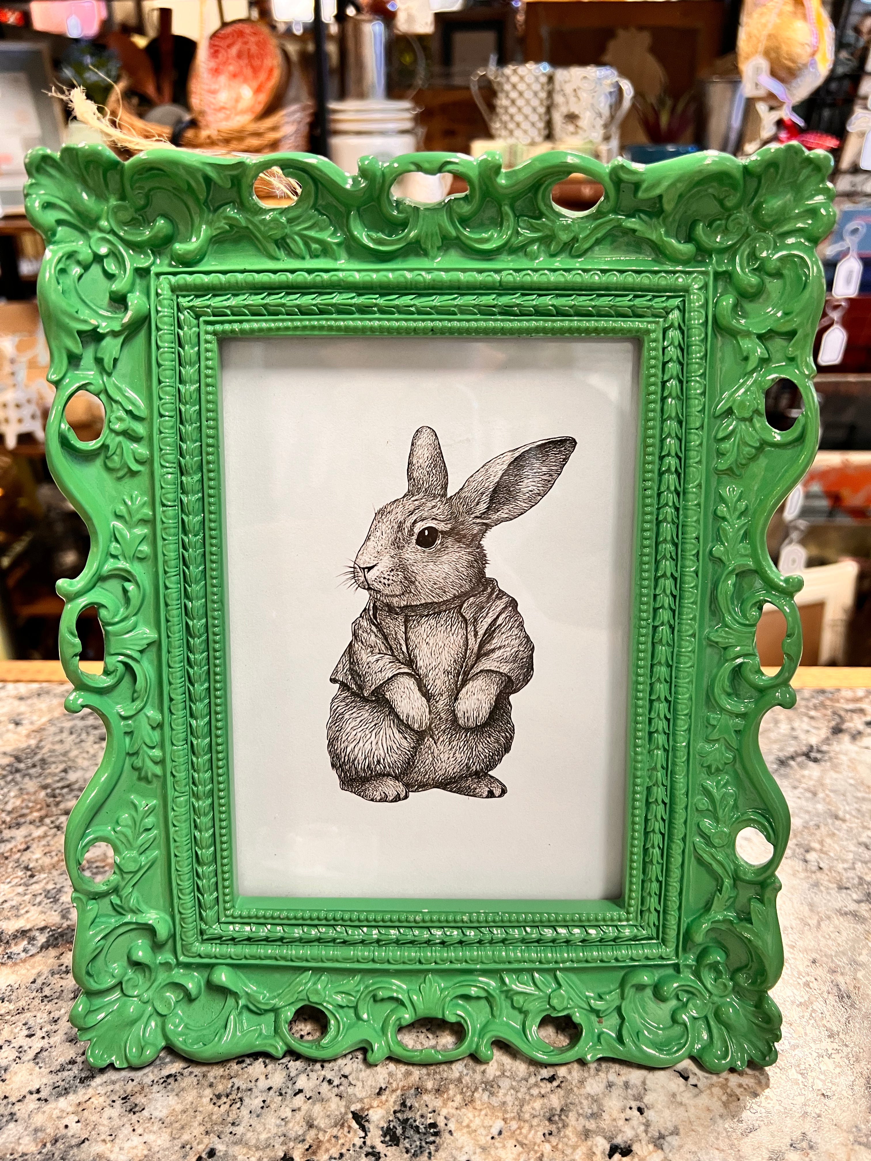Bunny Picture